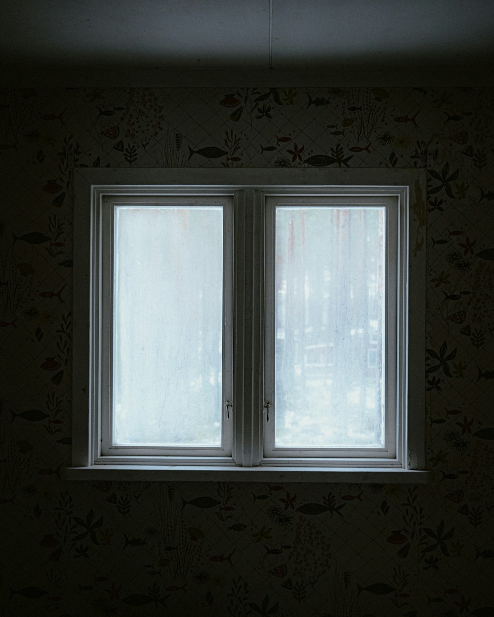 a cat sitting on a window sill in a dark room