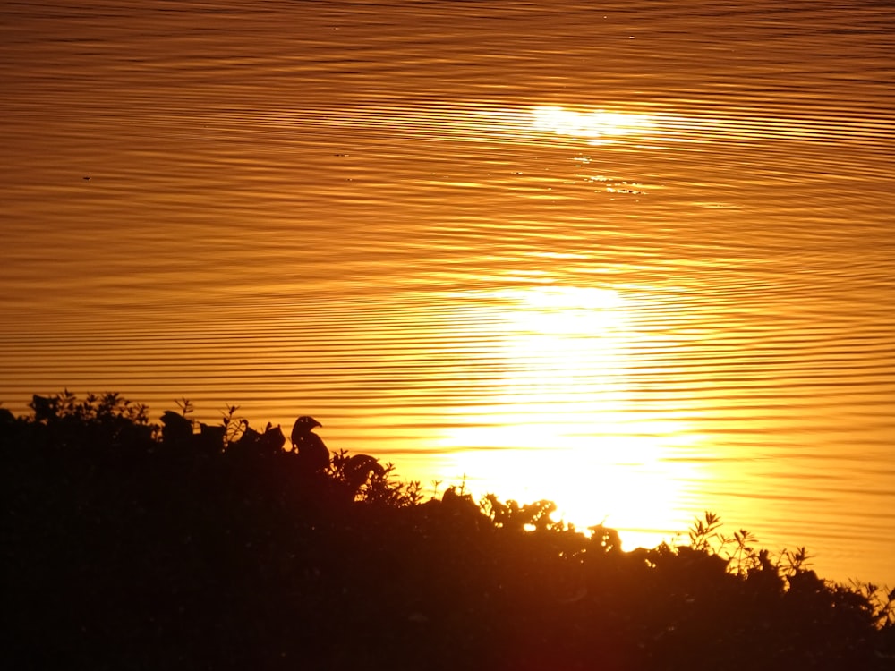 the sun is setting over a body of water