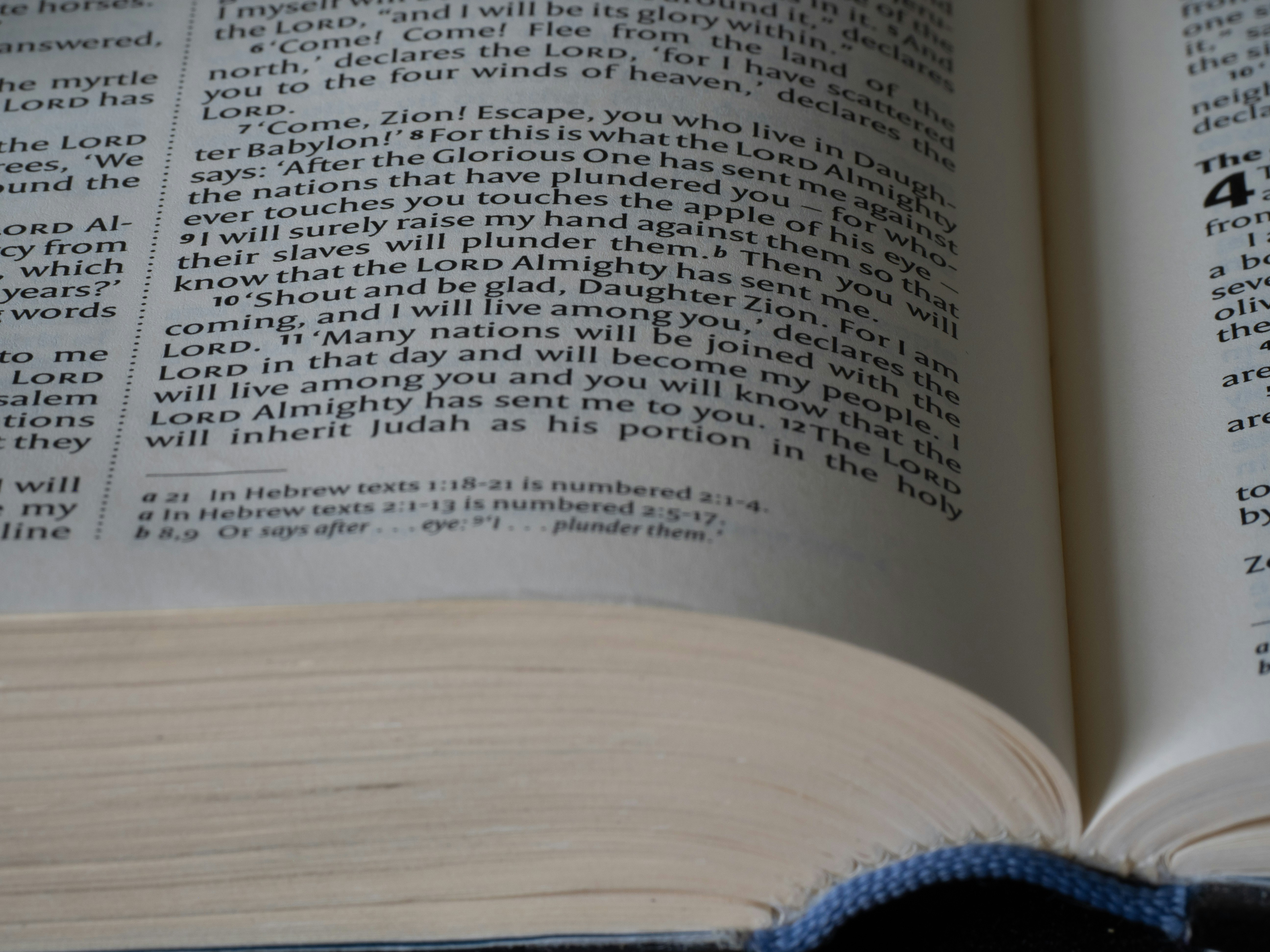 Photo by brett_jordan