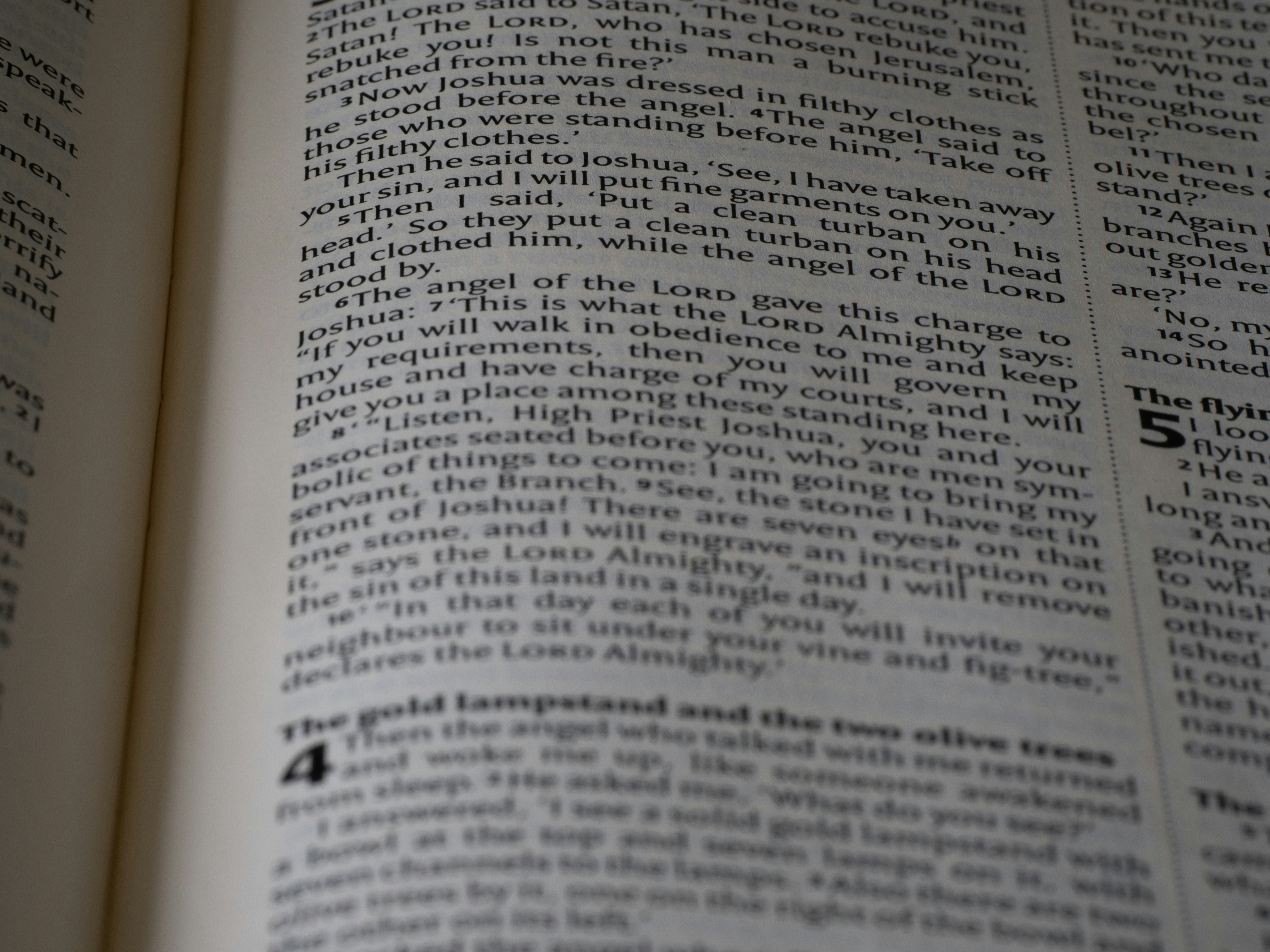 Photo by brett_jordan