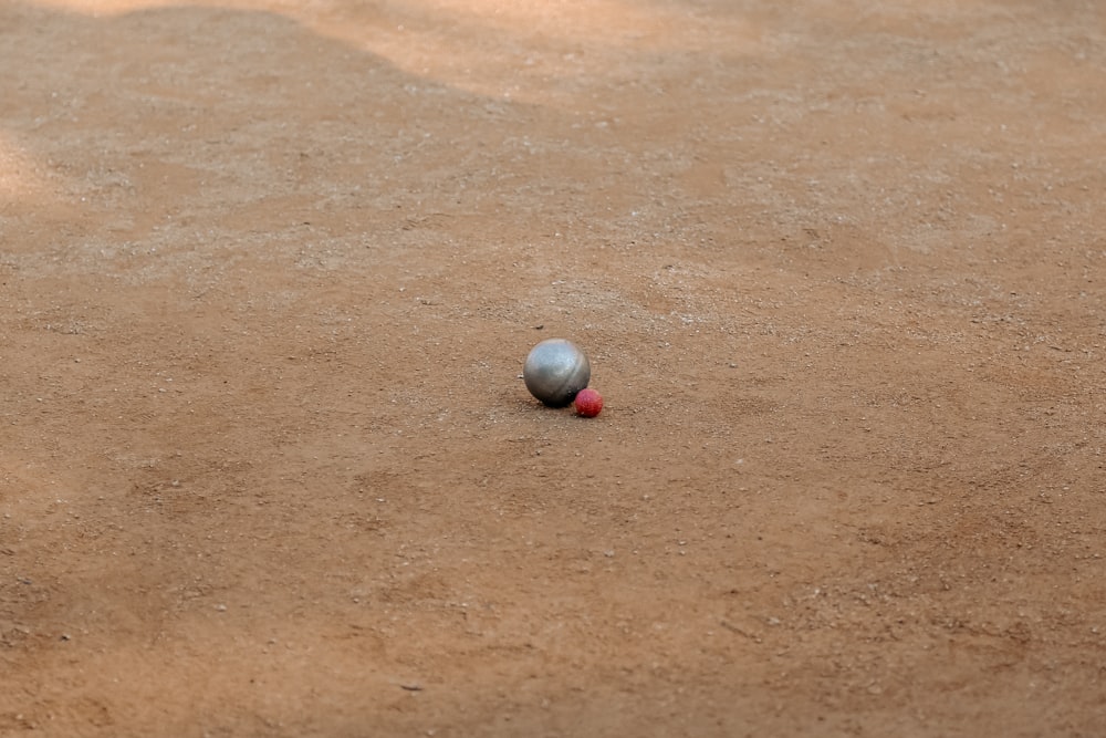 une balle posée sur le sol au milieu d’un champ