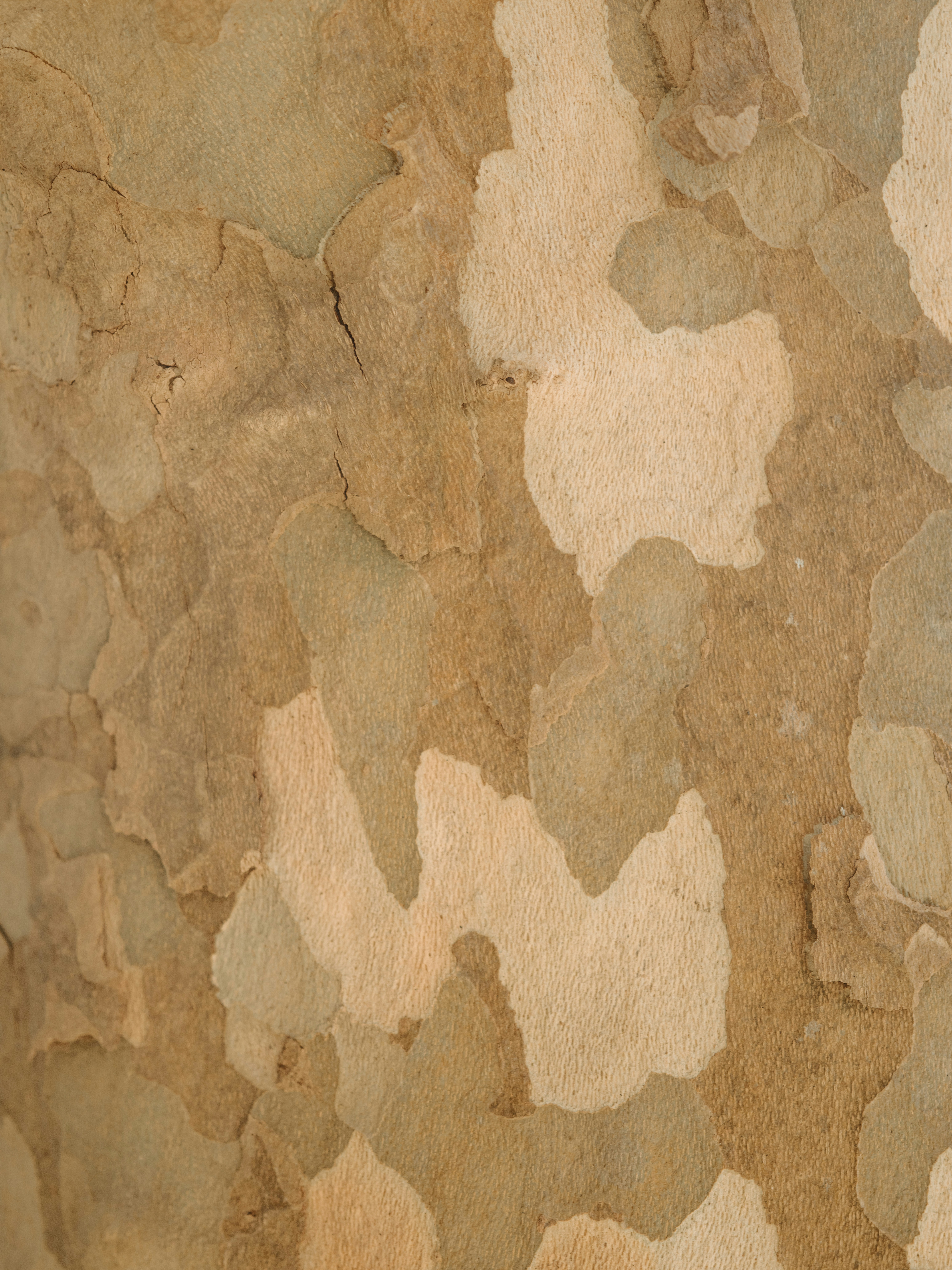 Photo by anniespratt