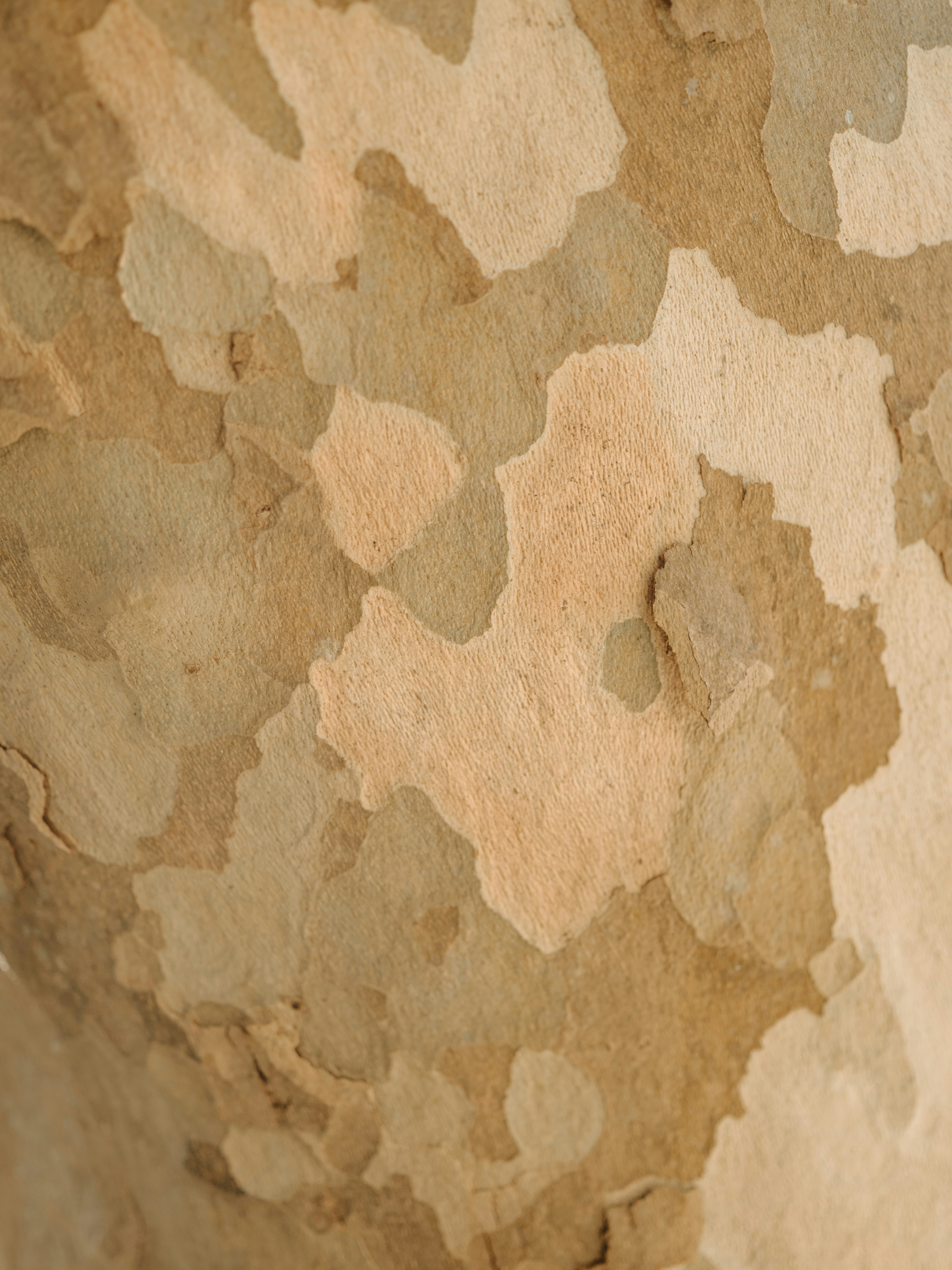 a close up of a wall with a pattern on it