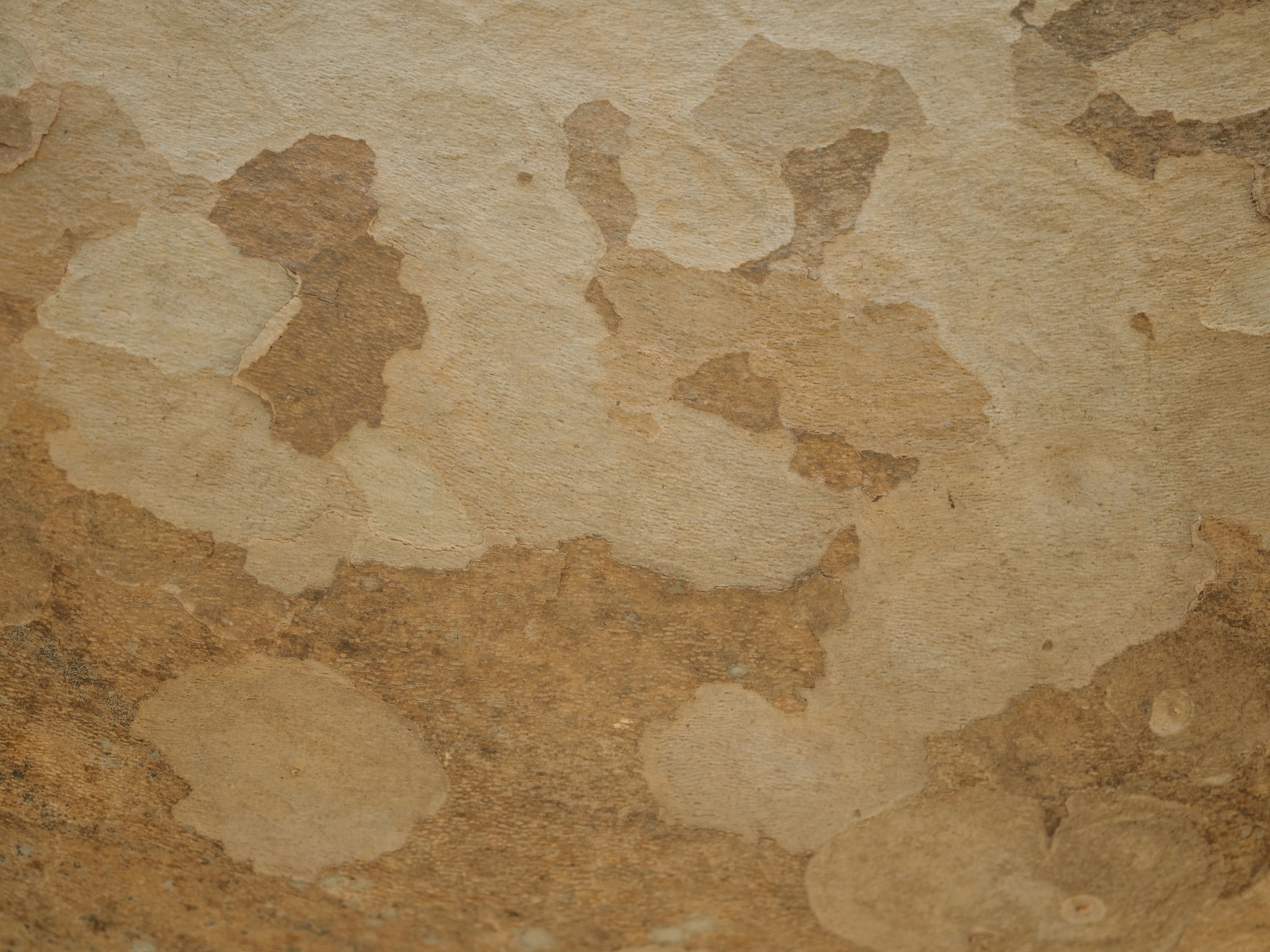 Photo by anniespratt