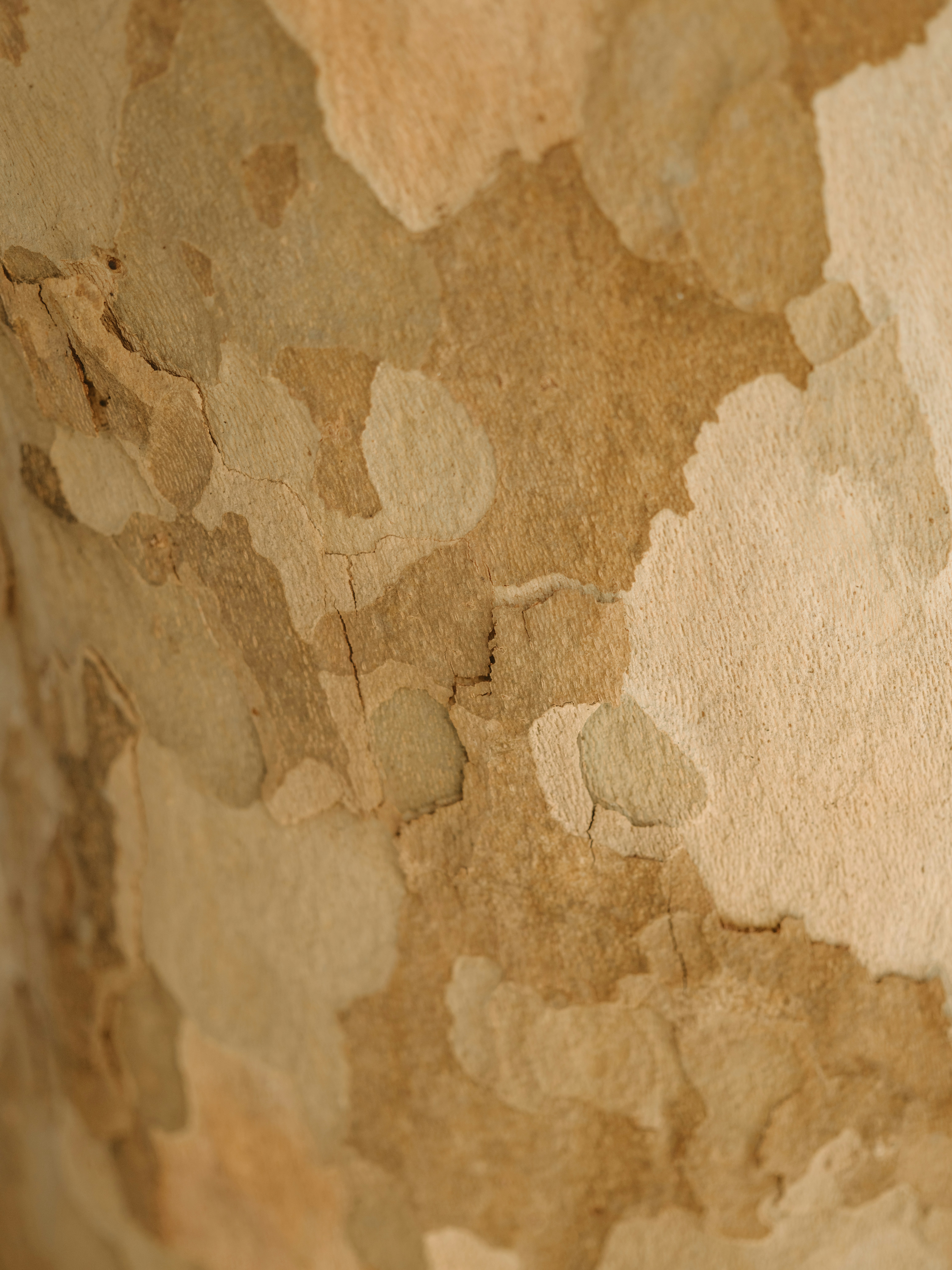 Photo by anniespratt