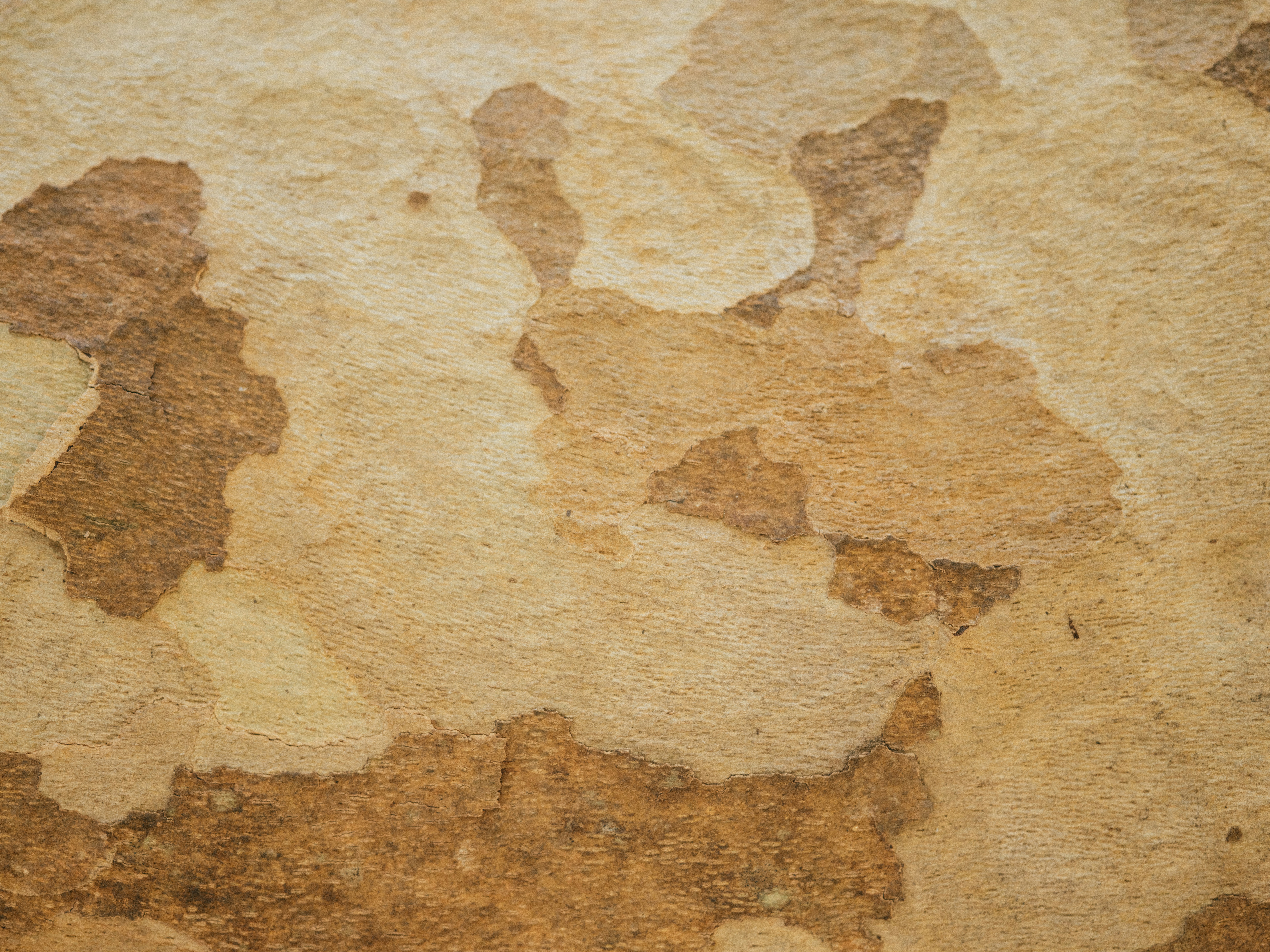 Photo by anniespratt