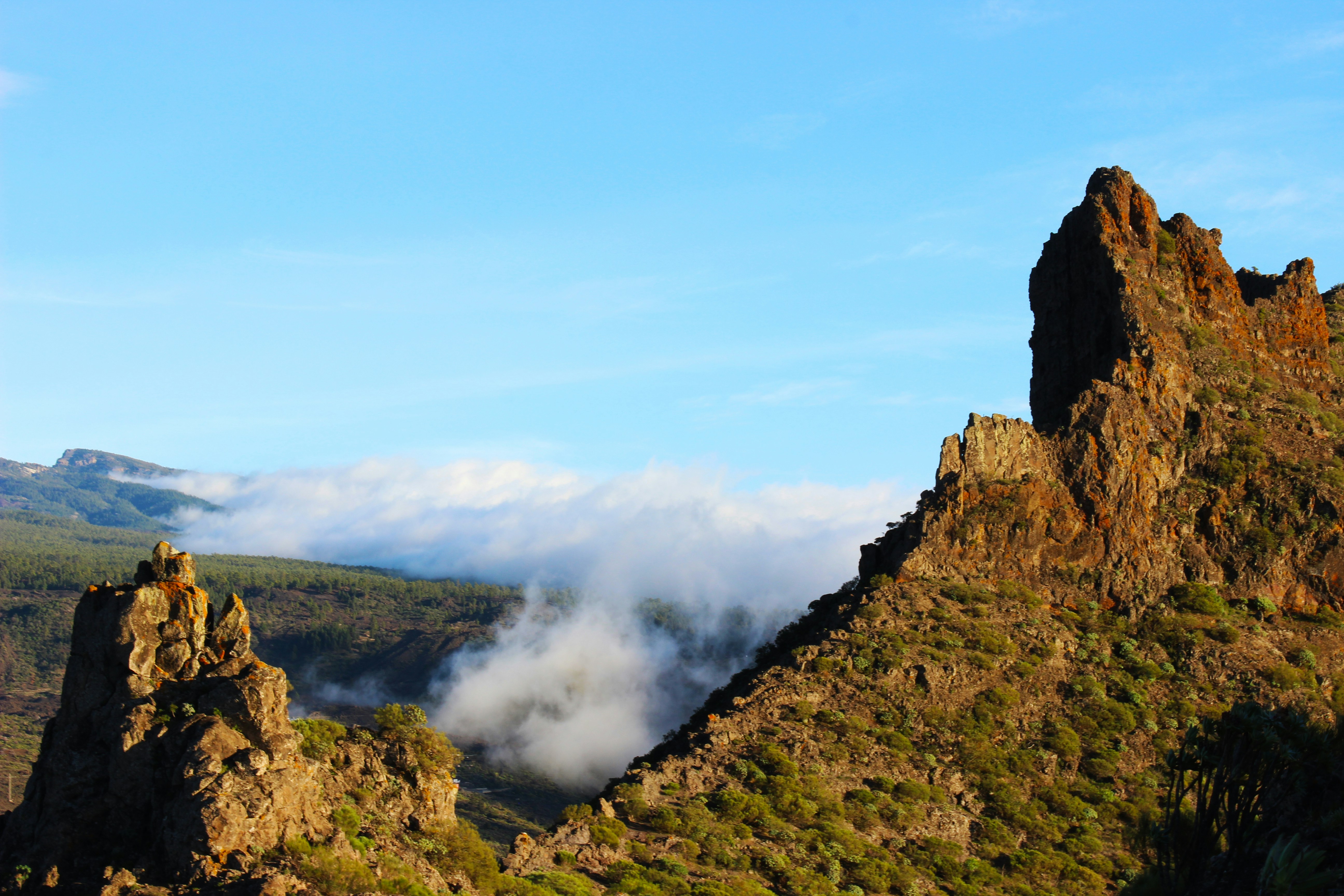 Photo by happy_sad_repeat