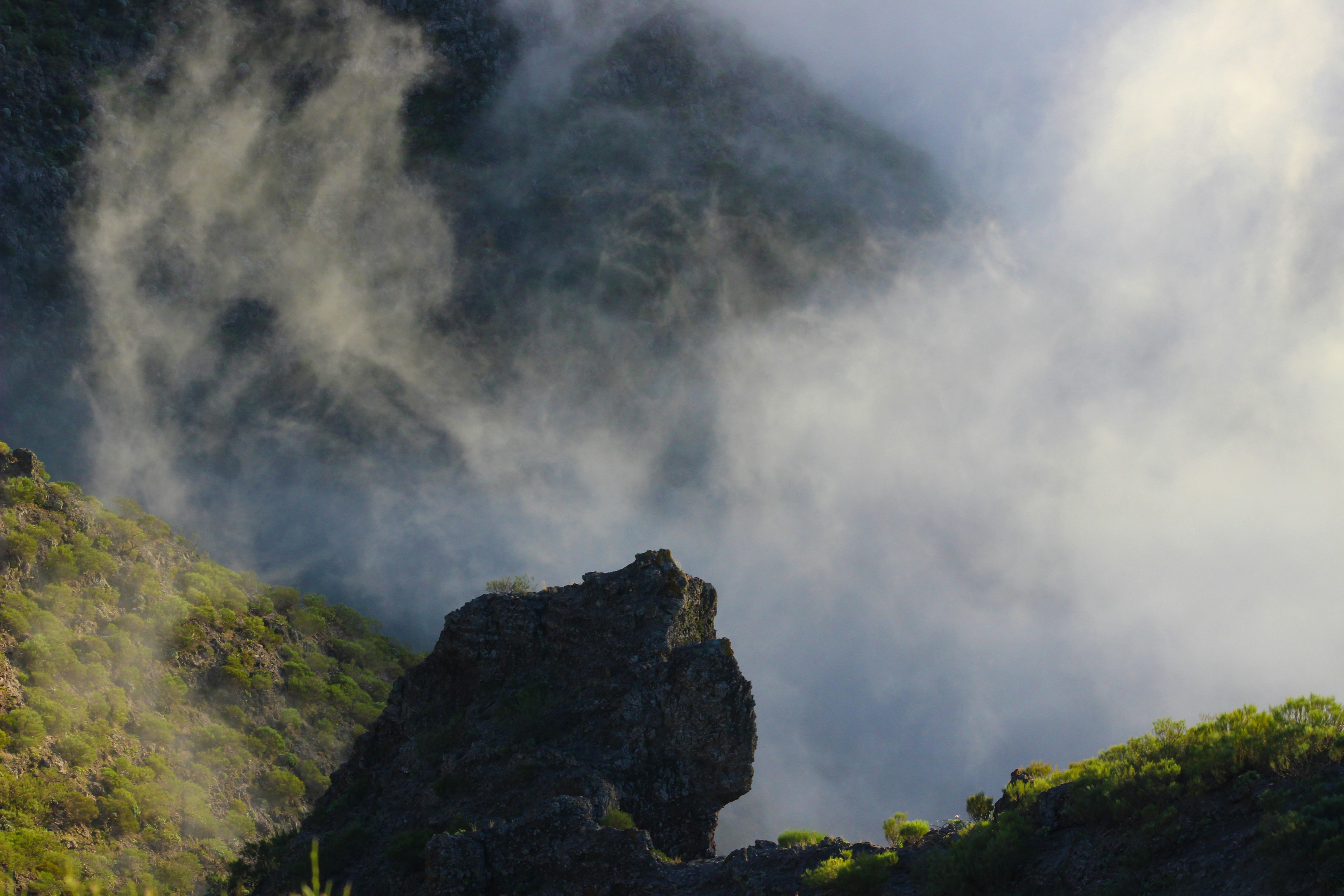 Photo by happy_sad_repeat