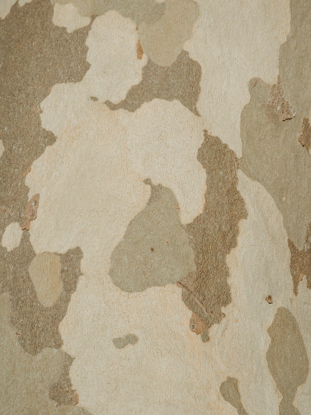 a close up of a camouflage pattern on a wall