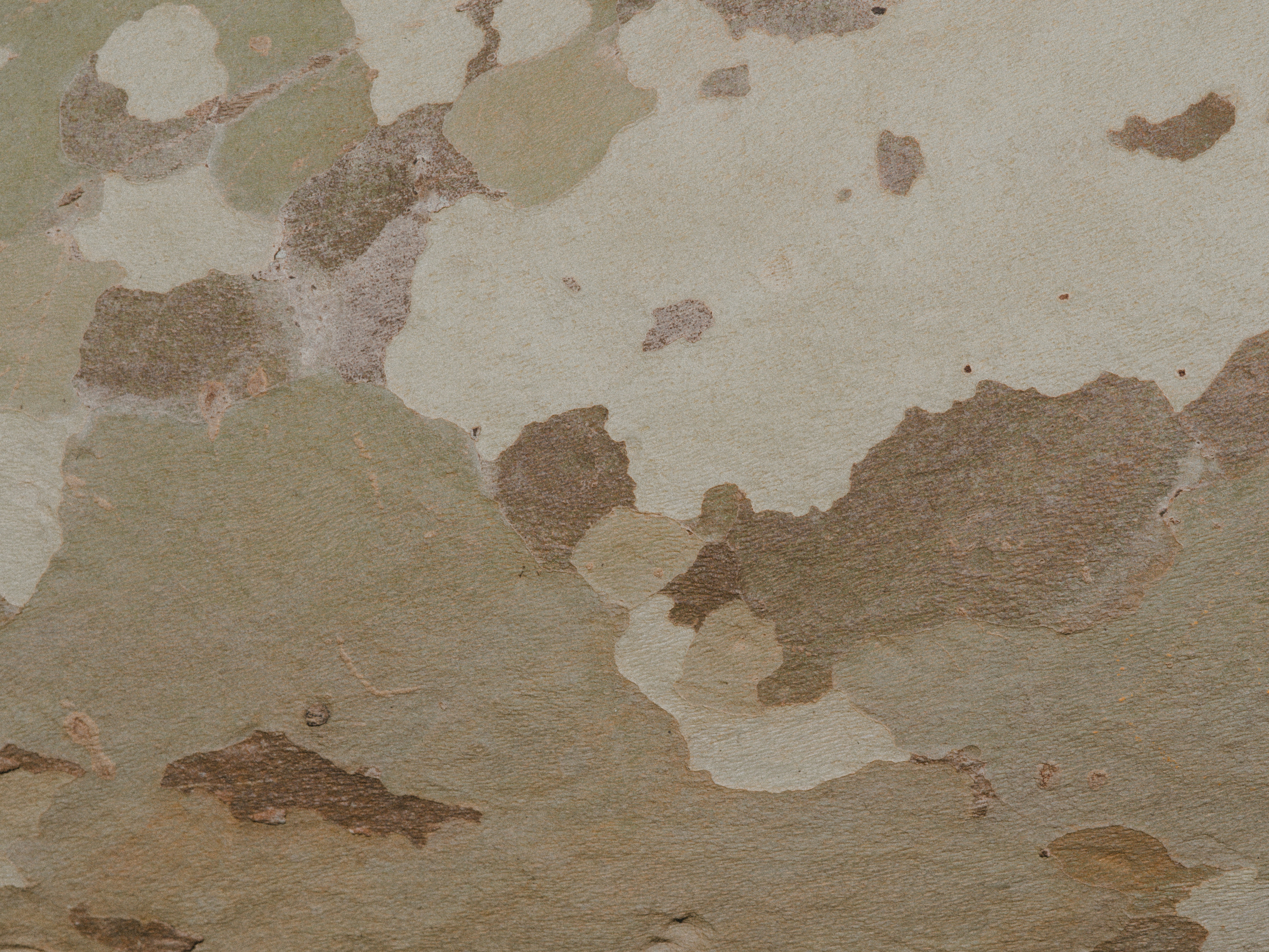 Photo by anniespratt