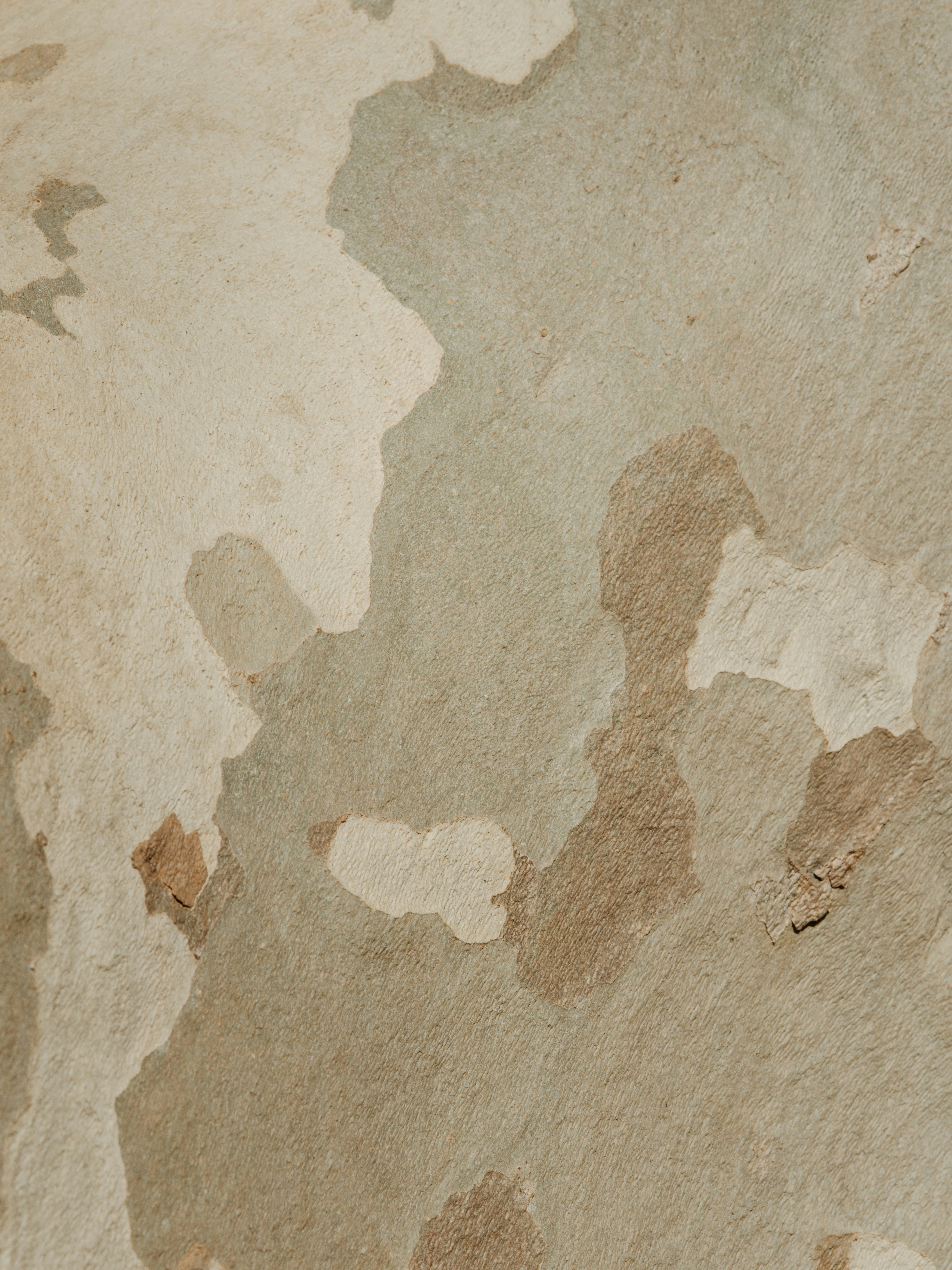 Photo by anniespratt