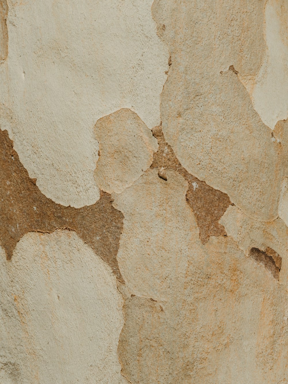 a close up of a rock wall with peeling paint