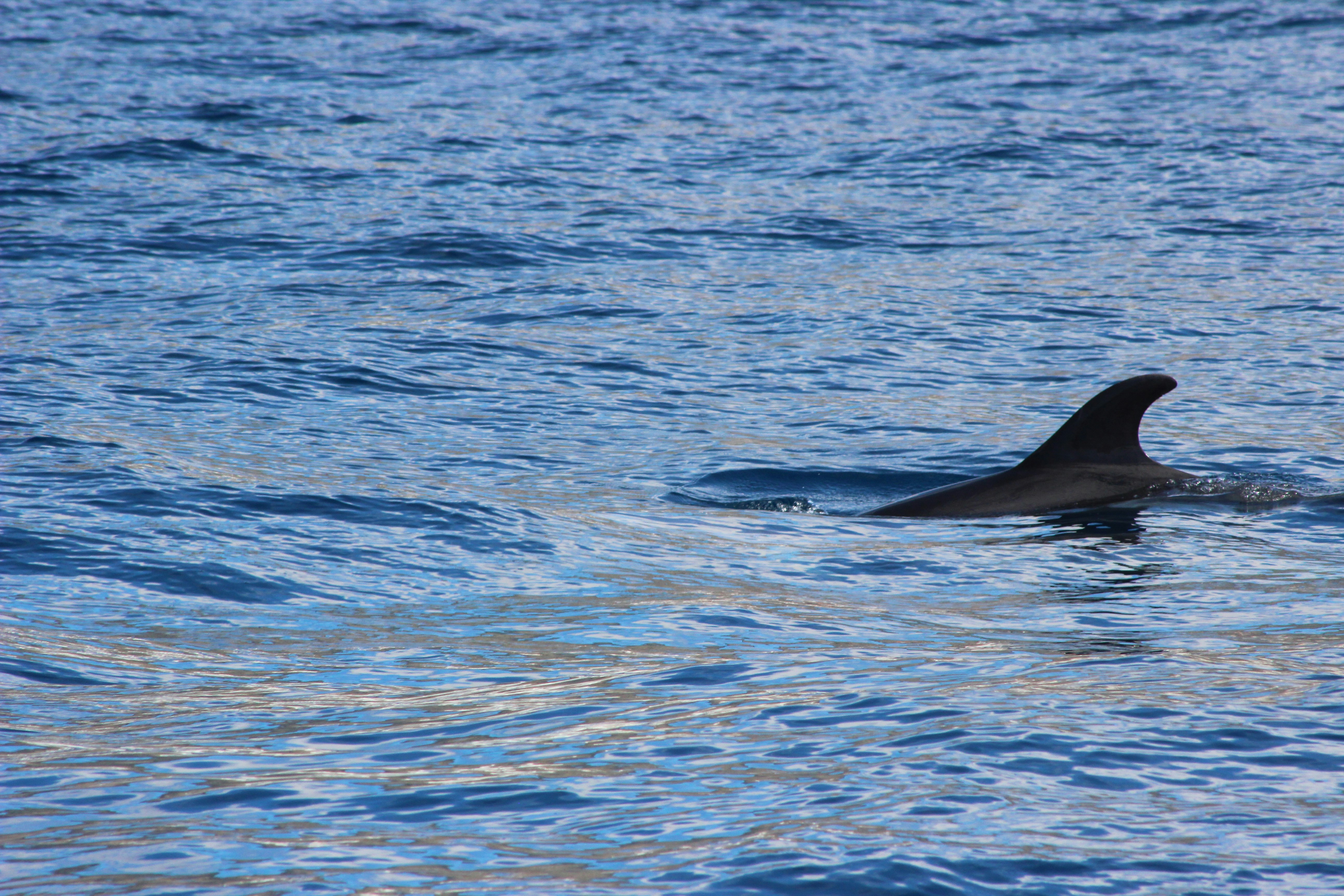 Photo by happy_sad_repeat