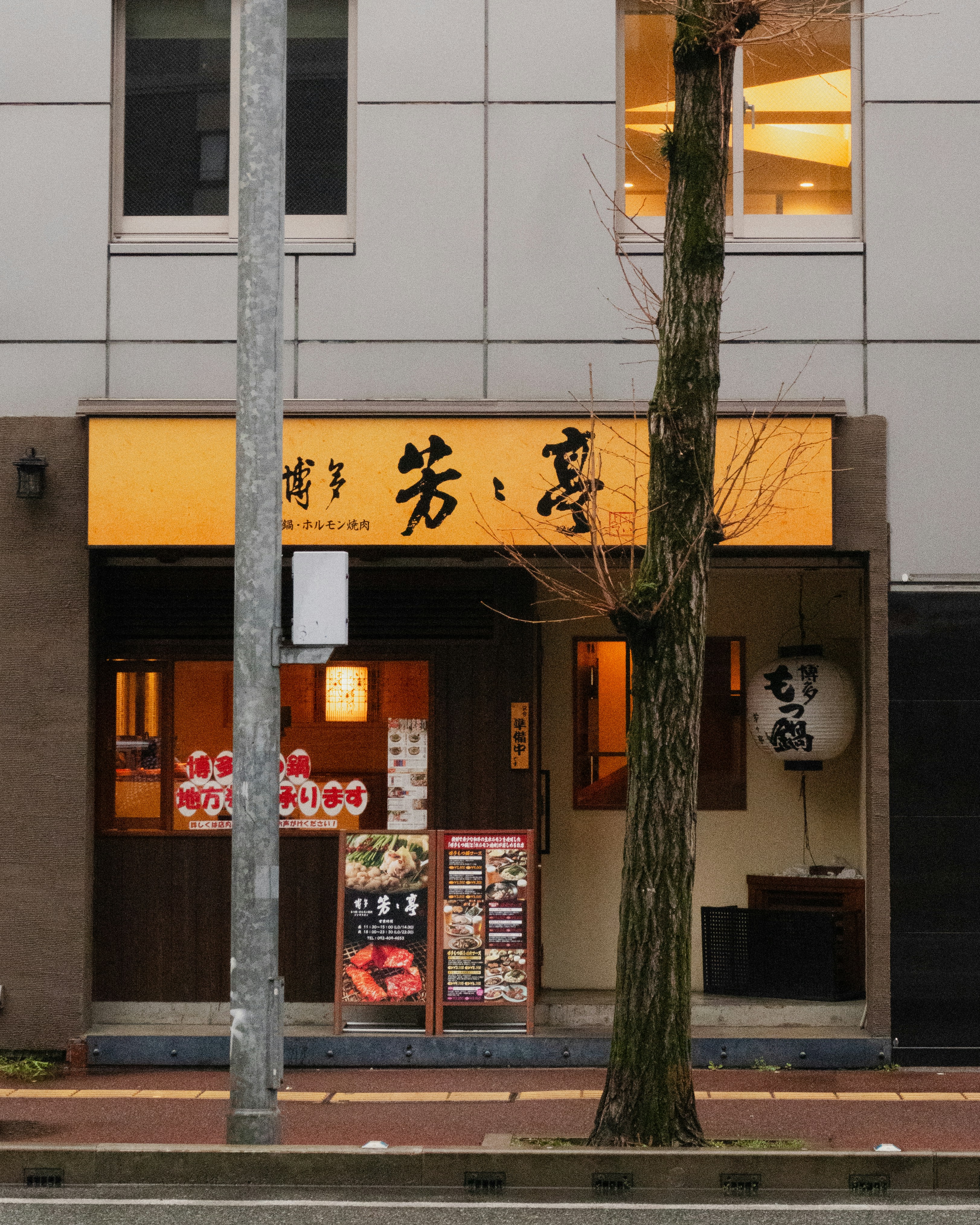 Ninja Japanese Restaurant Menu