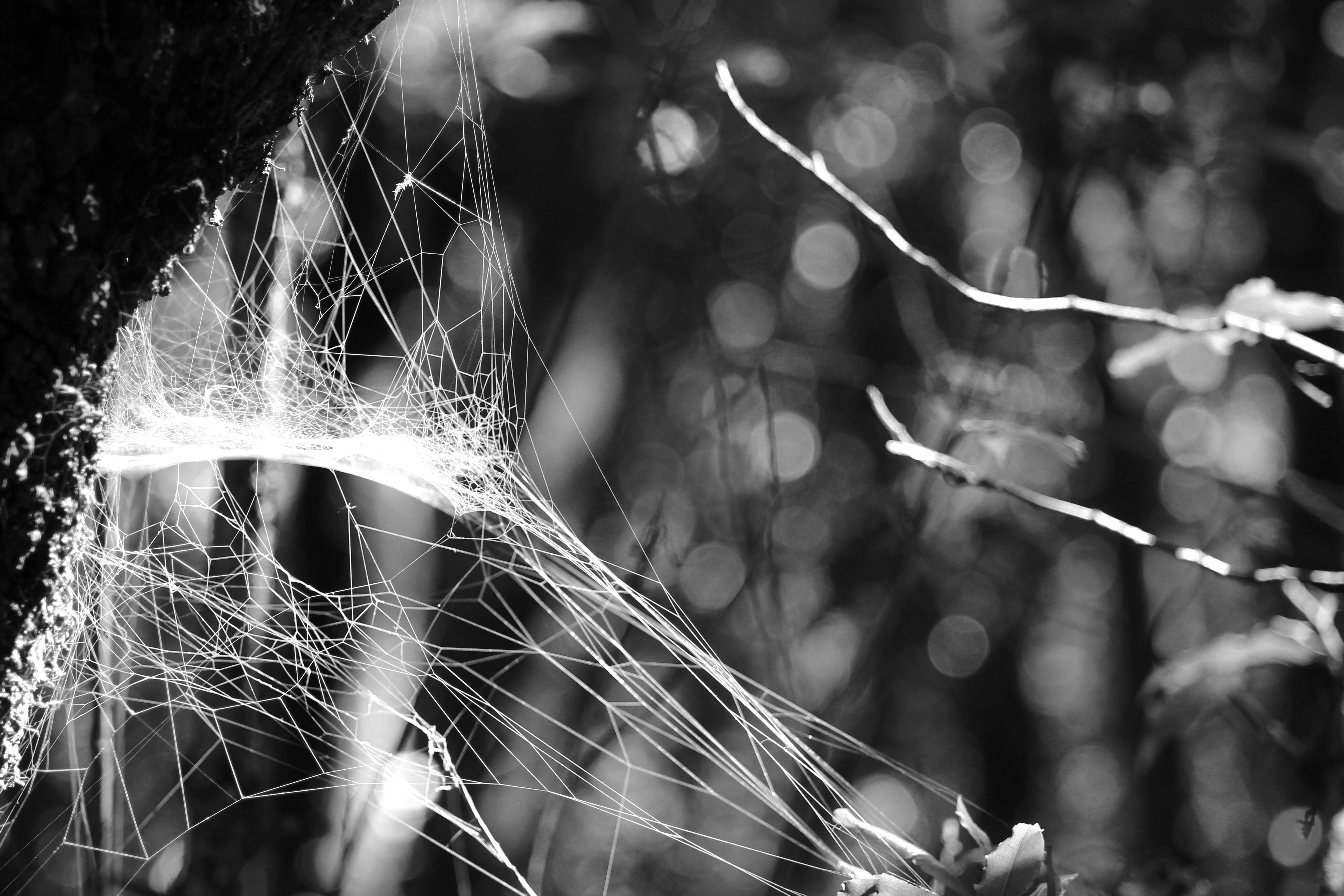 Photo by happy_sad_repeat