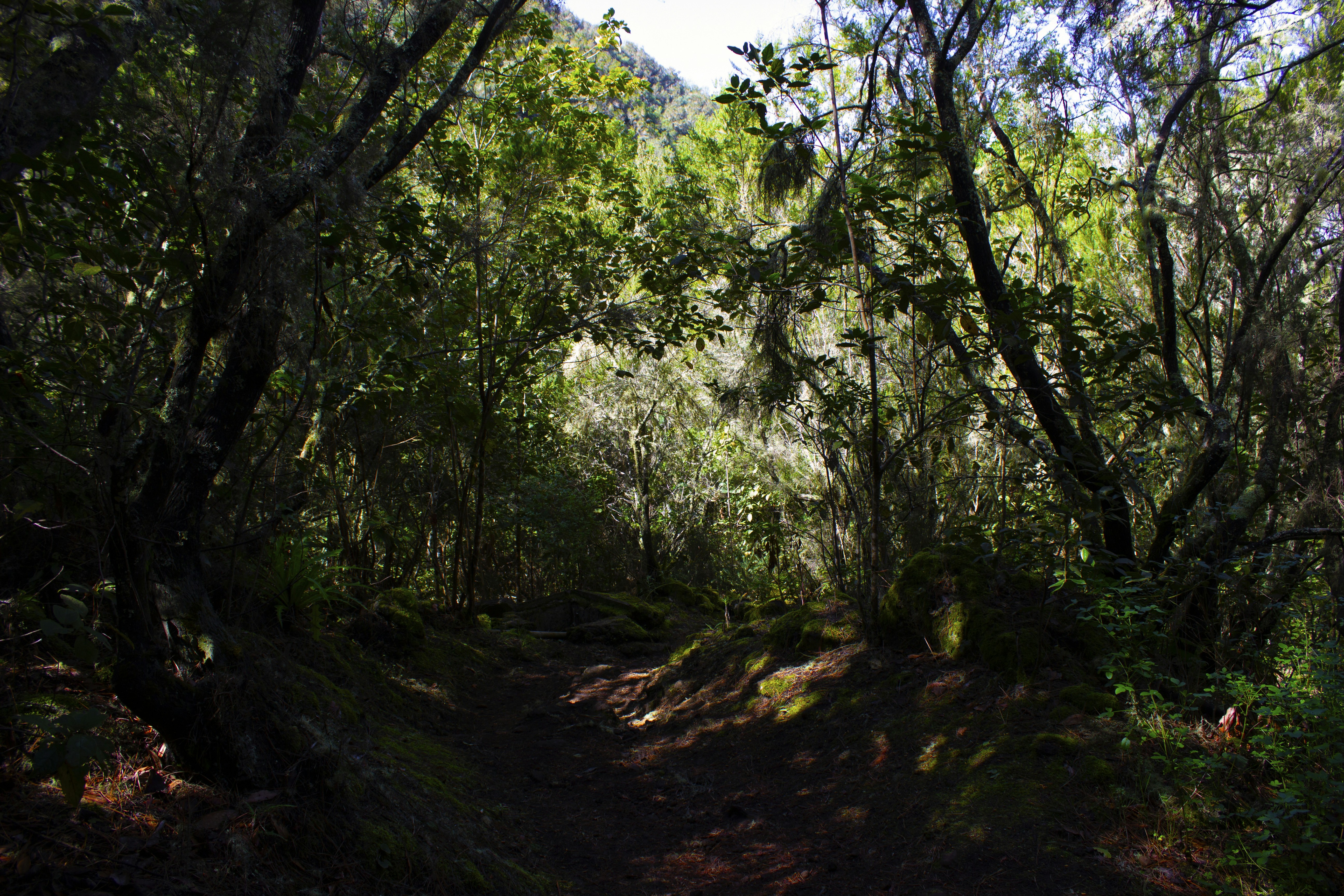 Photo by happy_sad_repeat