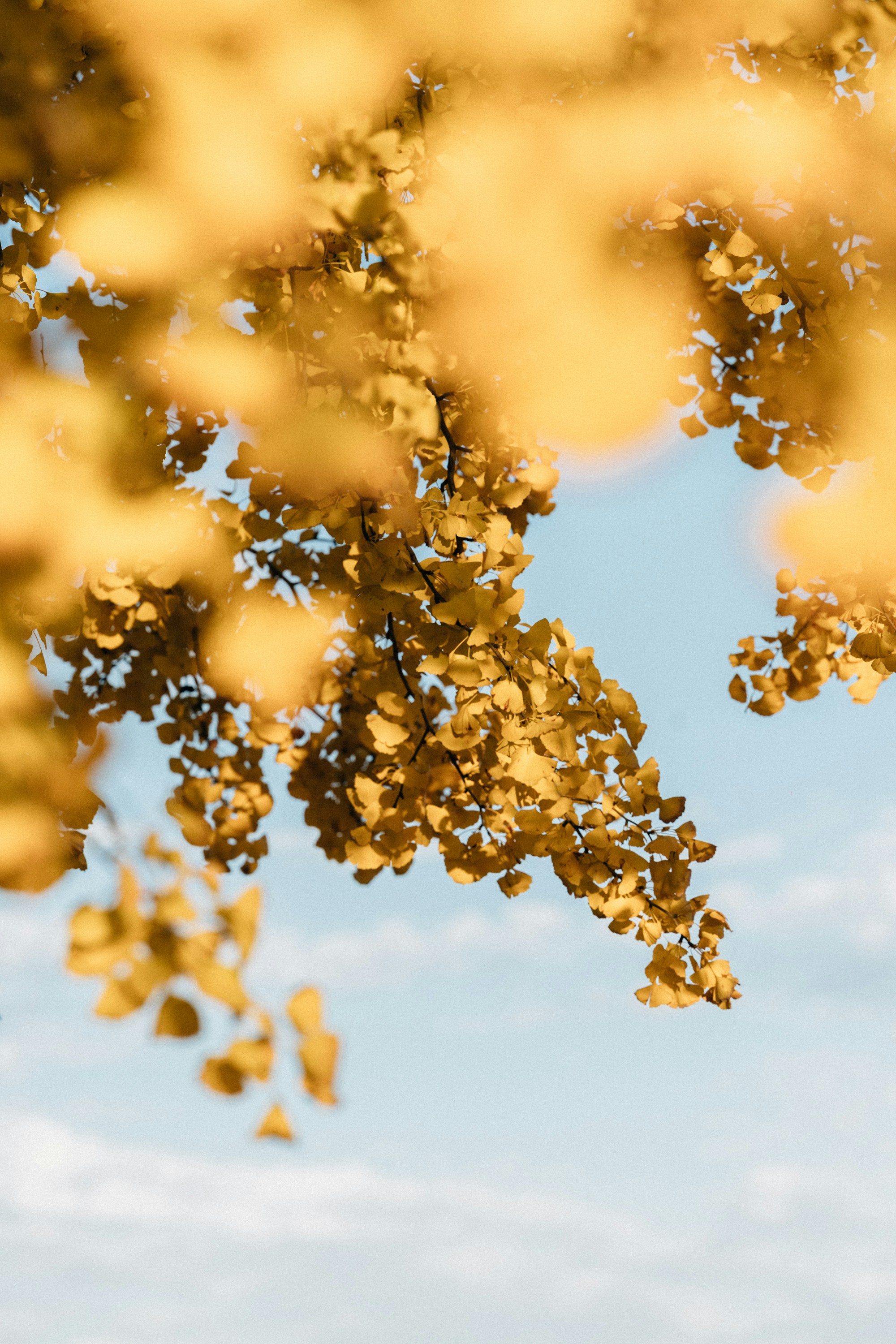 Photo by tsuyoshikozu