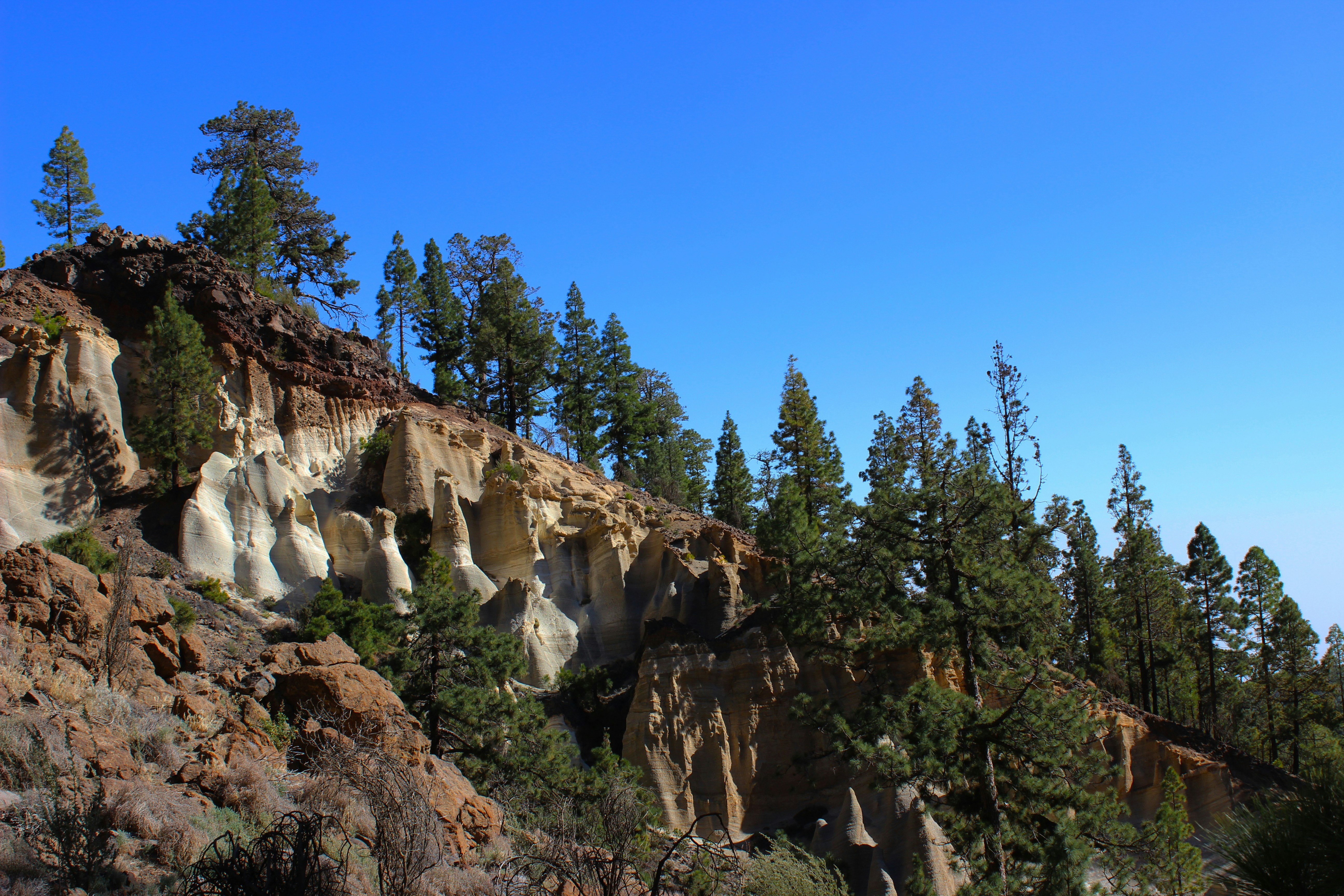 Photo by happy_sad_repeat