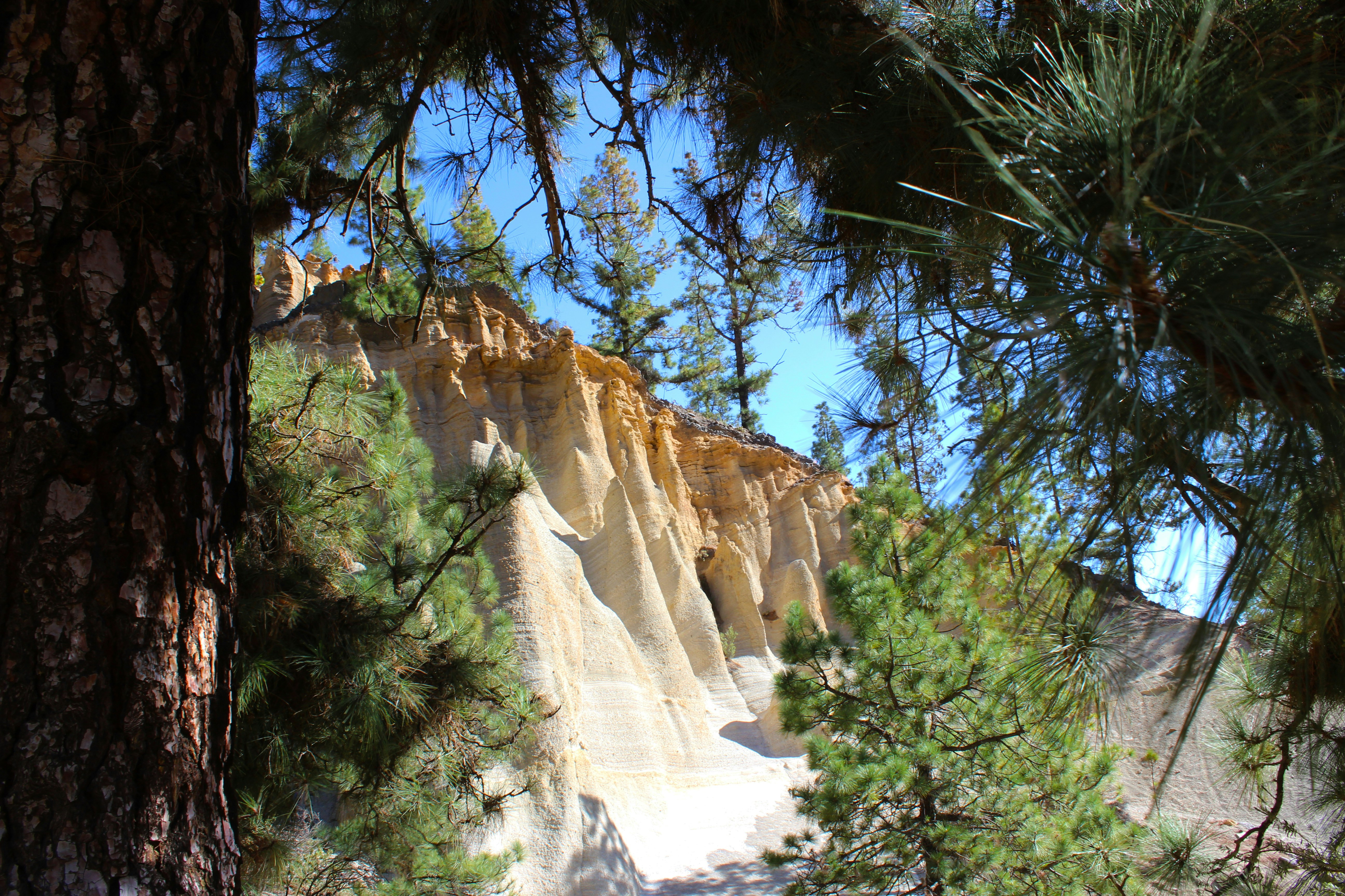 Photo by happy_sad_repeat