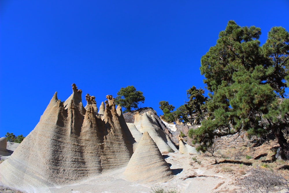 a group of trees on top of a hill