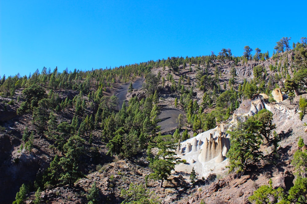 a view of a mountain with trees on the side of it