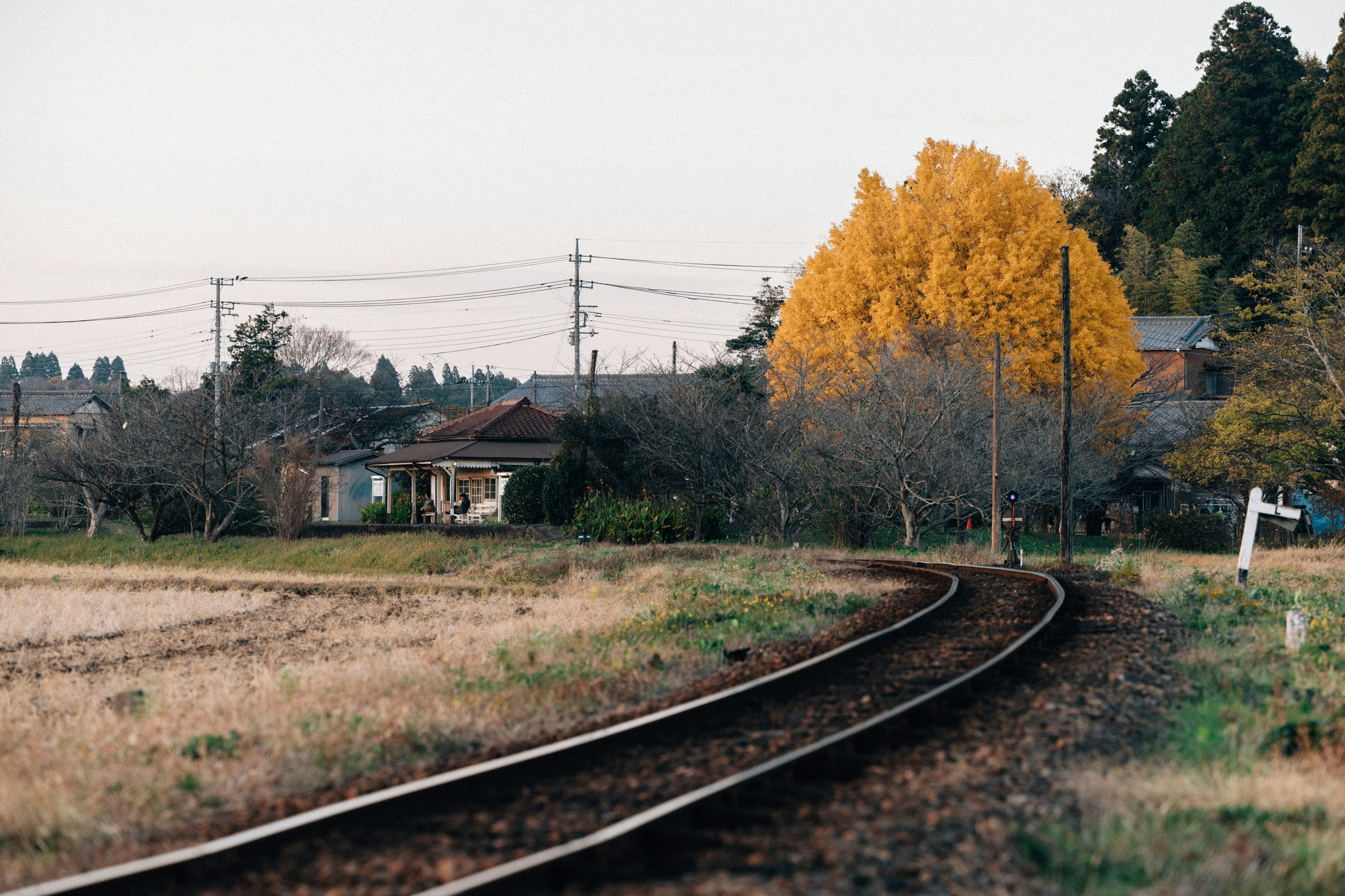 Photo by tsuyoshikozu