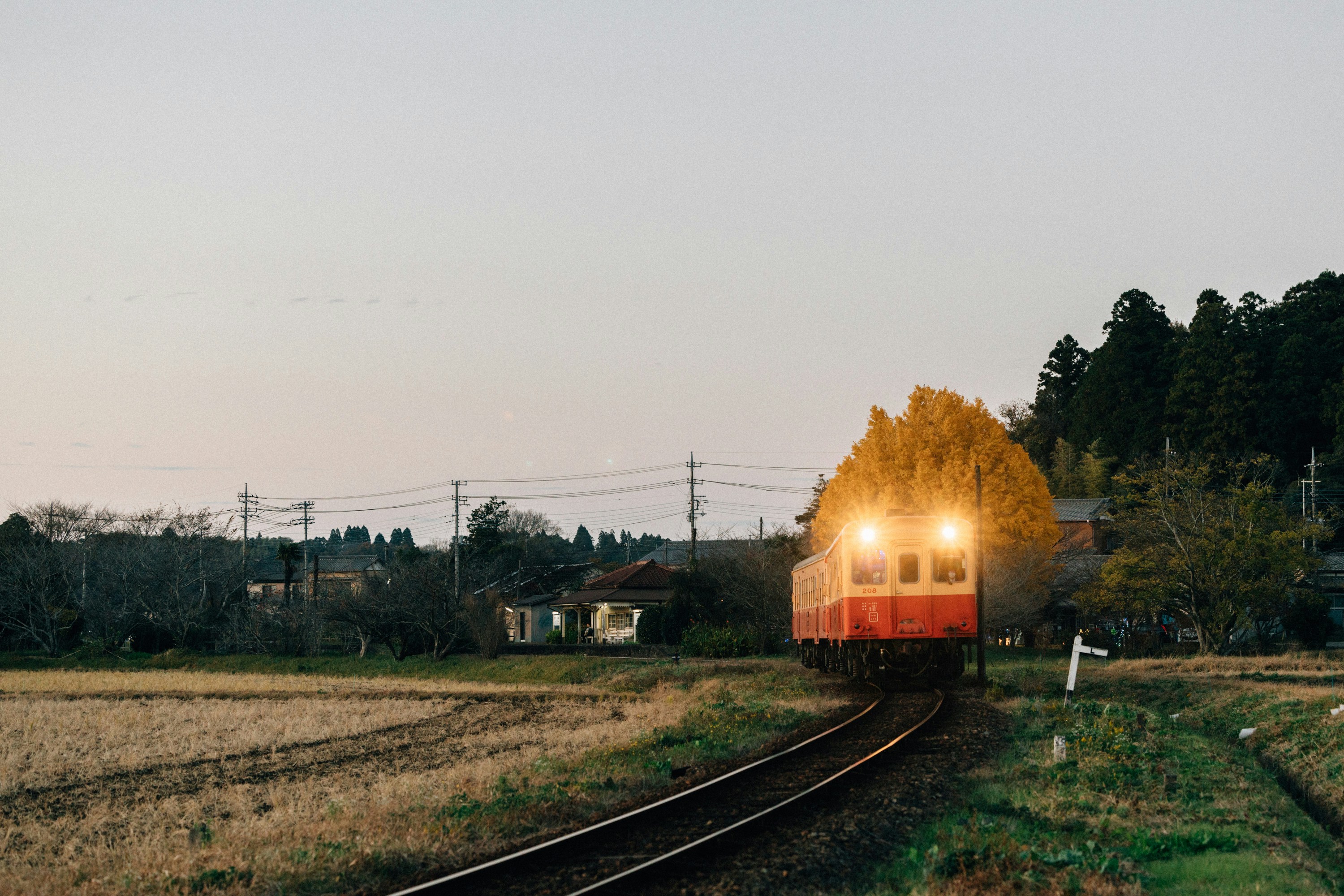 Photo by tsuyoshikozu