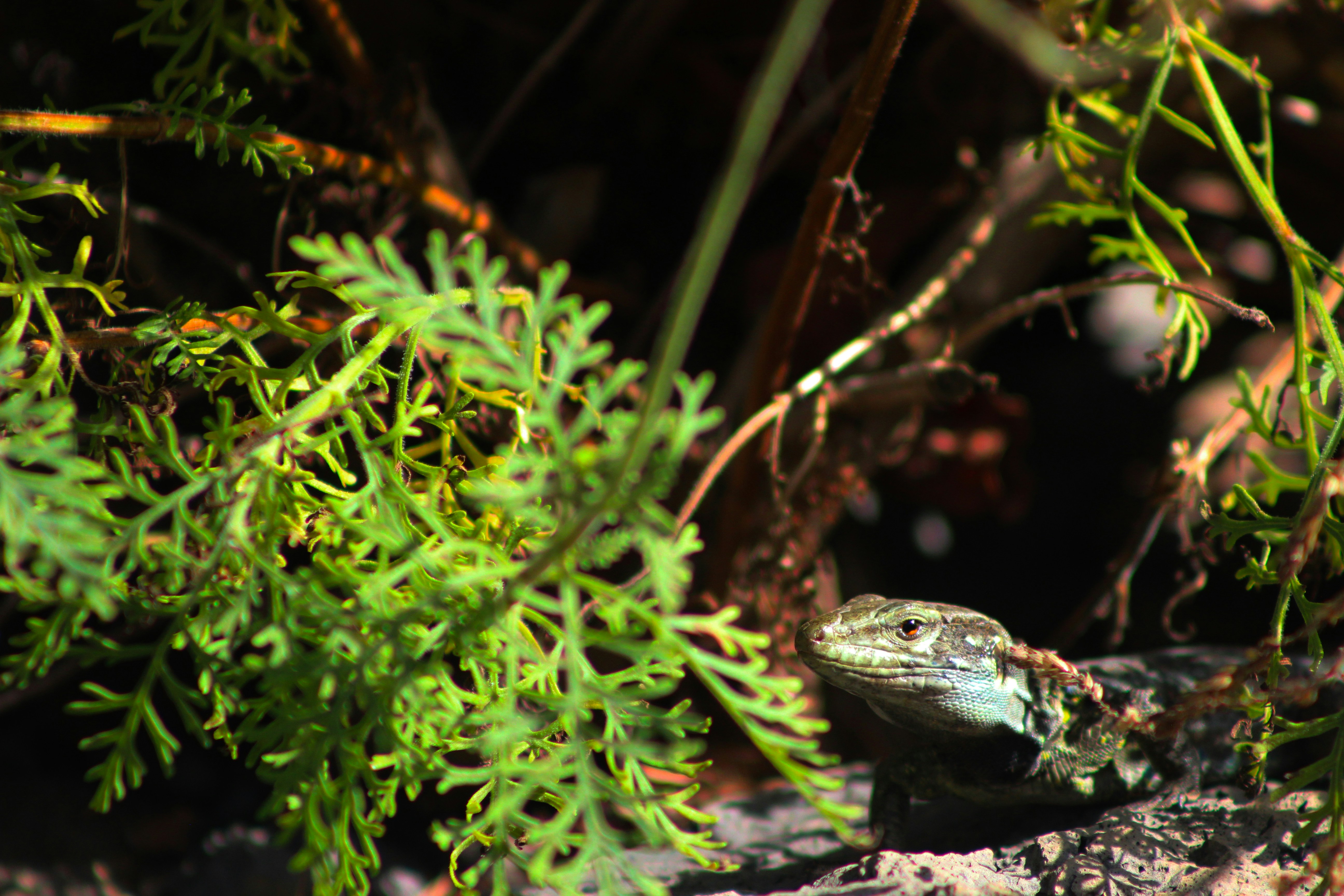 Photo by happy_sad_repeat