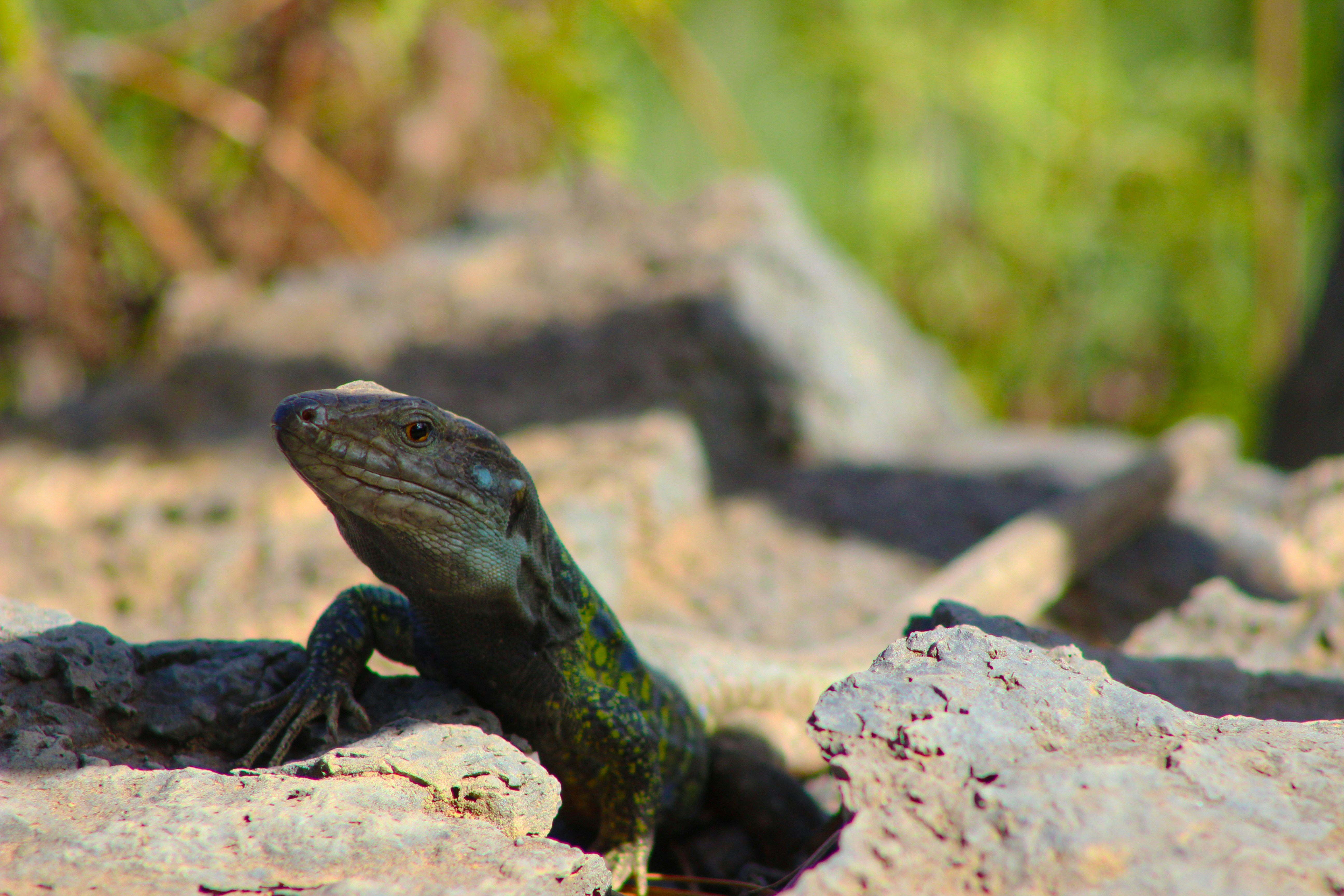 Photo by happy_sad_repeat