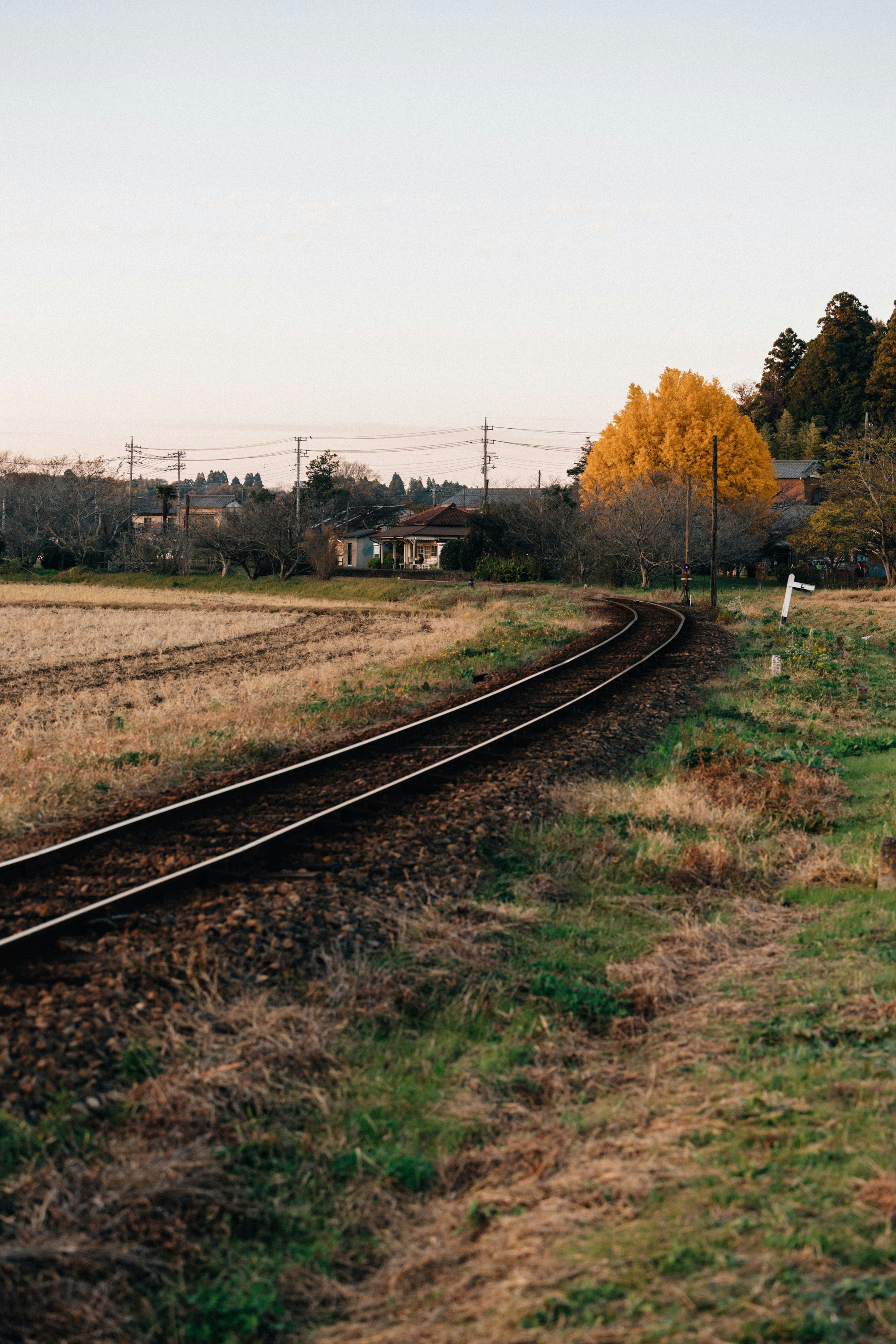 Photo by tsuyoshikozu