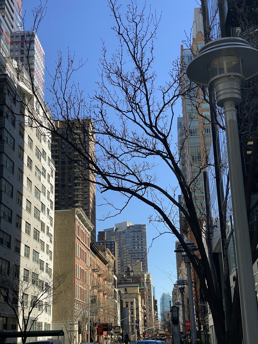 a city street with tall buildings in the background