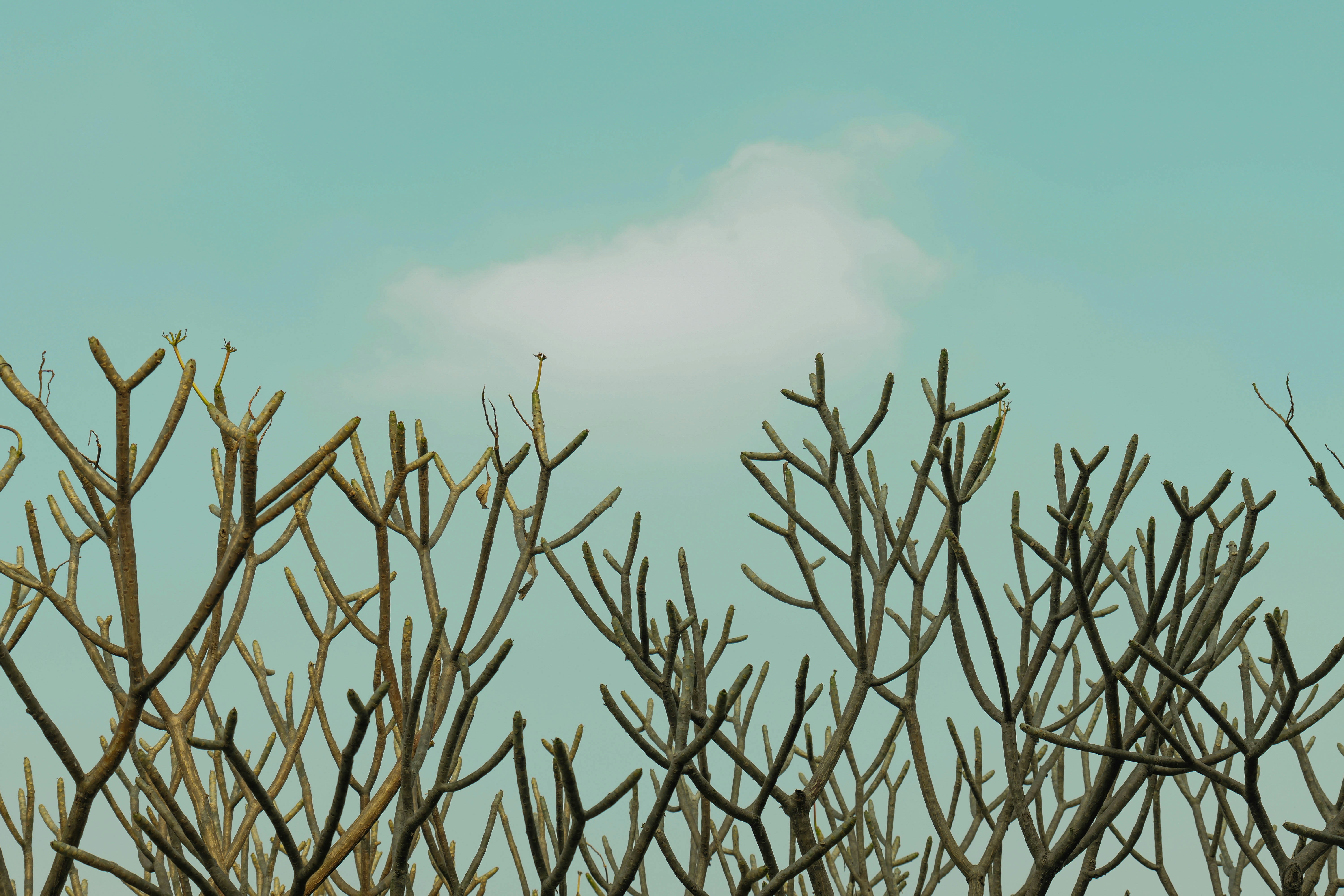 Photo by jerry_chen_