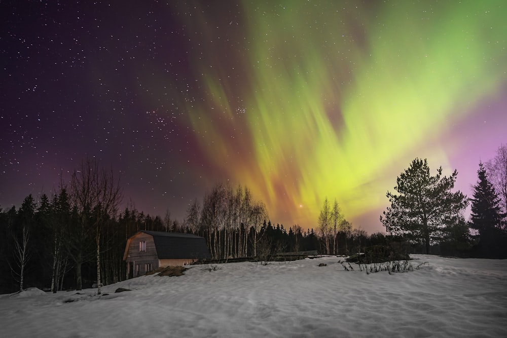 a house in the middle of a snow covered field