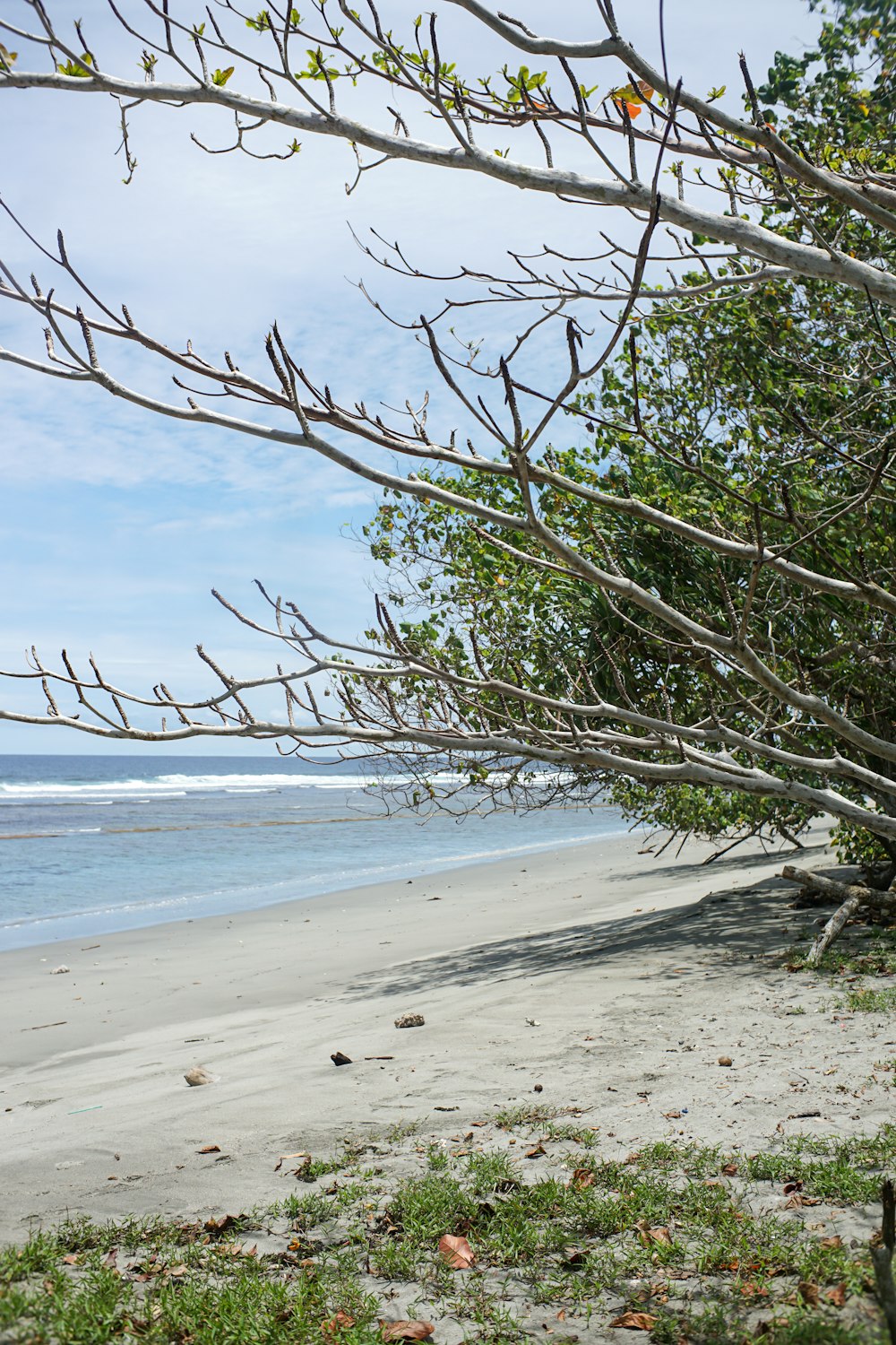 a bench sitting on top of a sandy beach