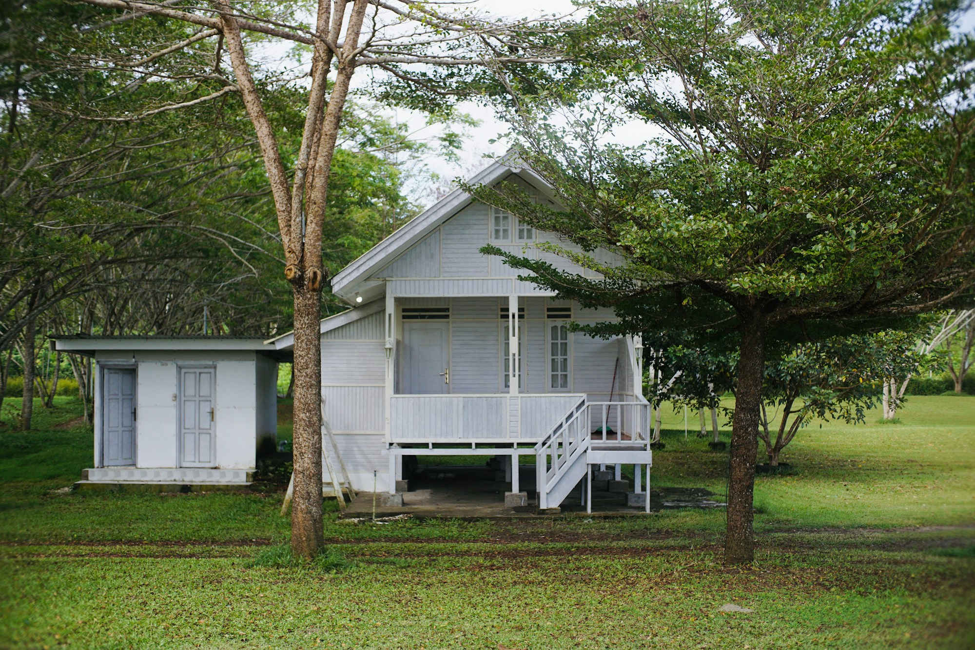 Best Time to Visit Manokwari: Weather, Seasons & Months