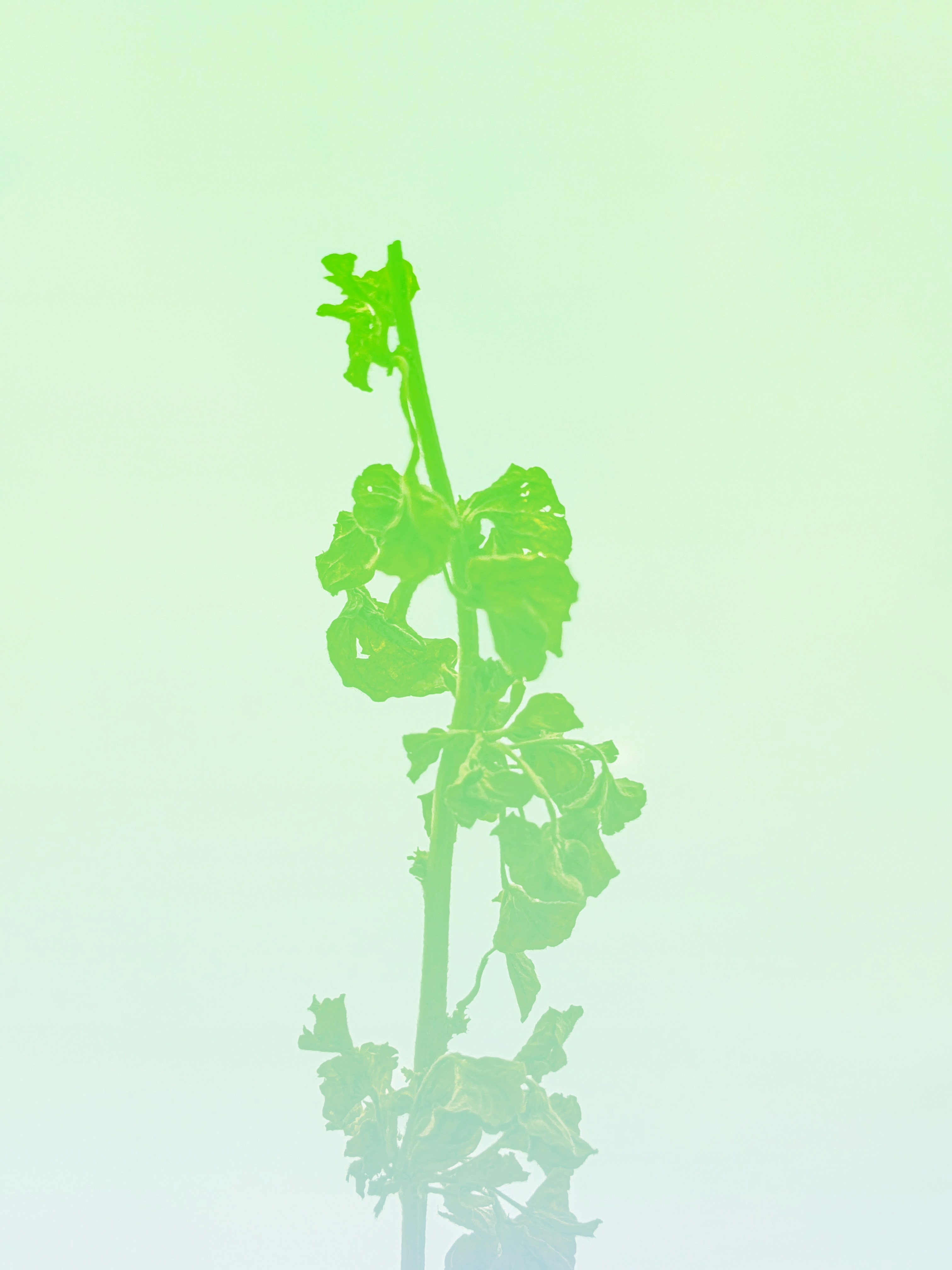 Photo 1710247571561 a79dd58ec1d4? Crop=entropy&cs=tinysrgb&fit=max&fm=jpg&ixid=m3w3mjawmdn8mhwxfhnlyxjjahwxfhxdb25jzxb0dwfsjtiwzglhz3jhbsuymg9mjtiwchjpdmf0zsuymgvxdwl0esuymgludm9sdmvtzw50jtiwaw4lmjbsyw5kc2nhcgluzyuymgdyb3d0acuyqyuymhnob3dpbmclmjbjyxbpdgfsjtiwaw5mbg93cyuymgfuzcuymg9wzxjhdglvbmfsjtiwaw1wcm92zw1lbnrzfgvufdb8fhx8mtc2nzg2nde0nnww&ixlib=rb 4. 1