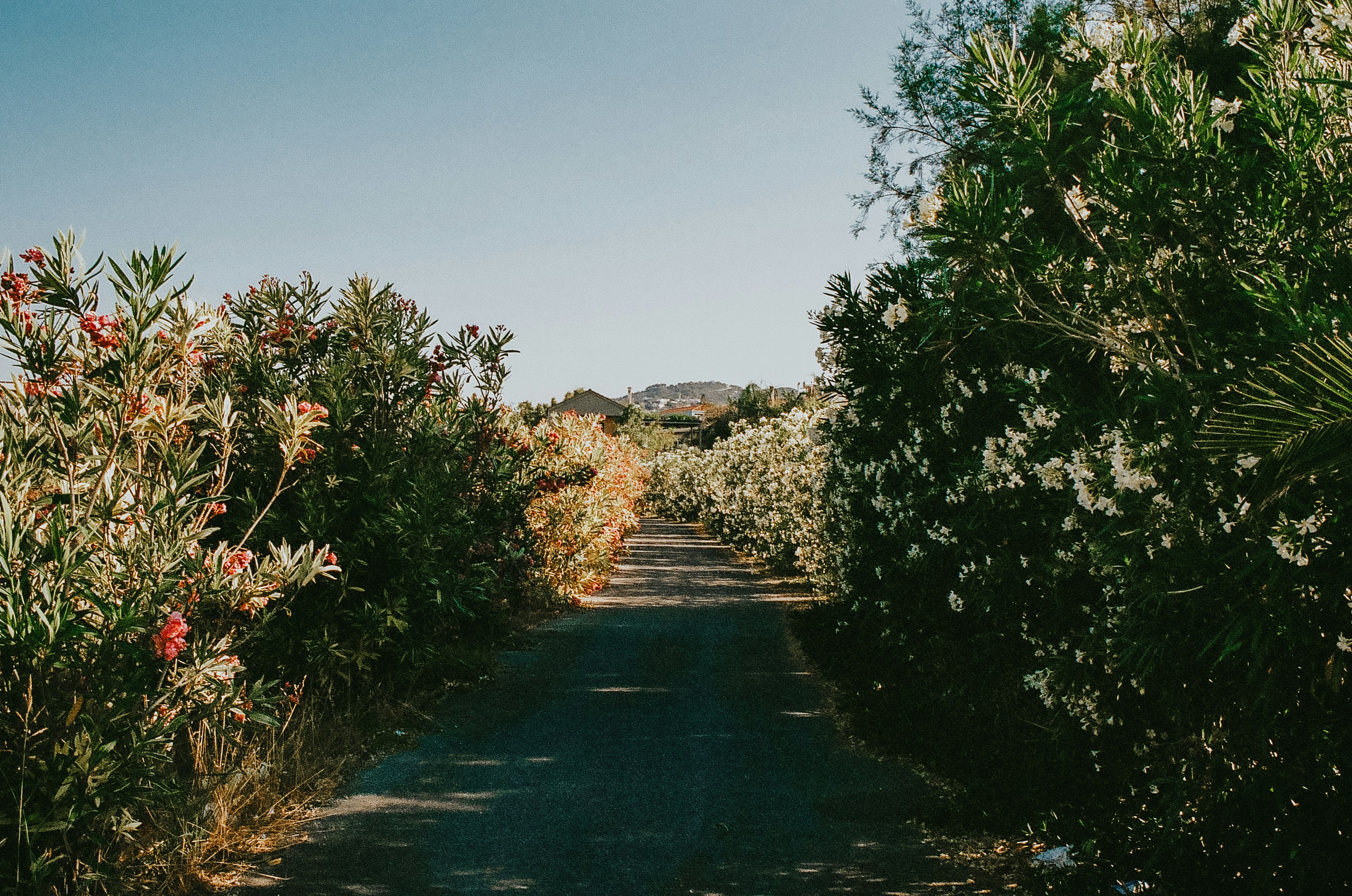 Photo by antoinekaelin