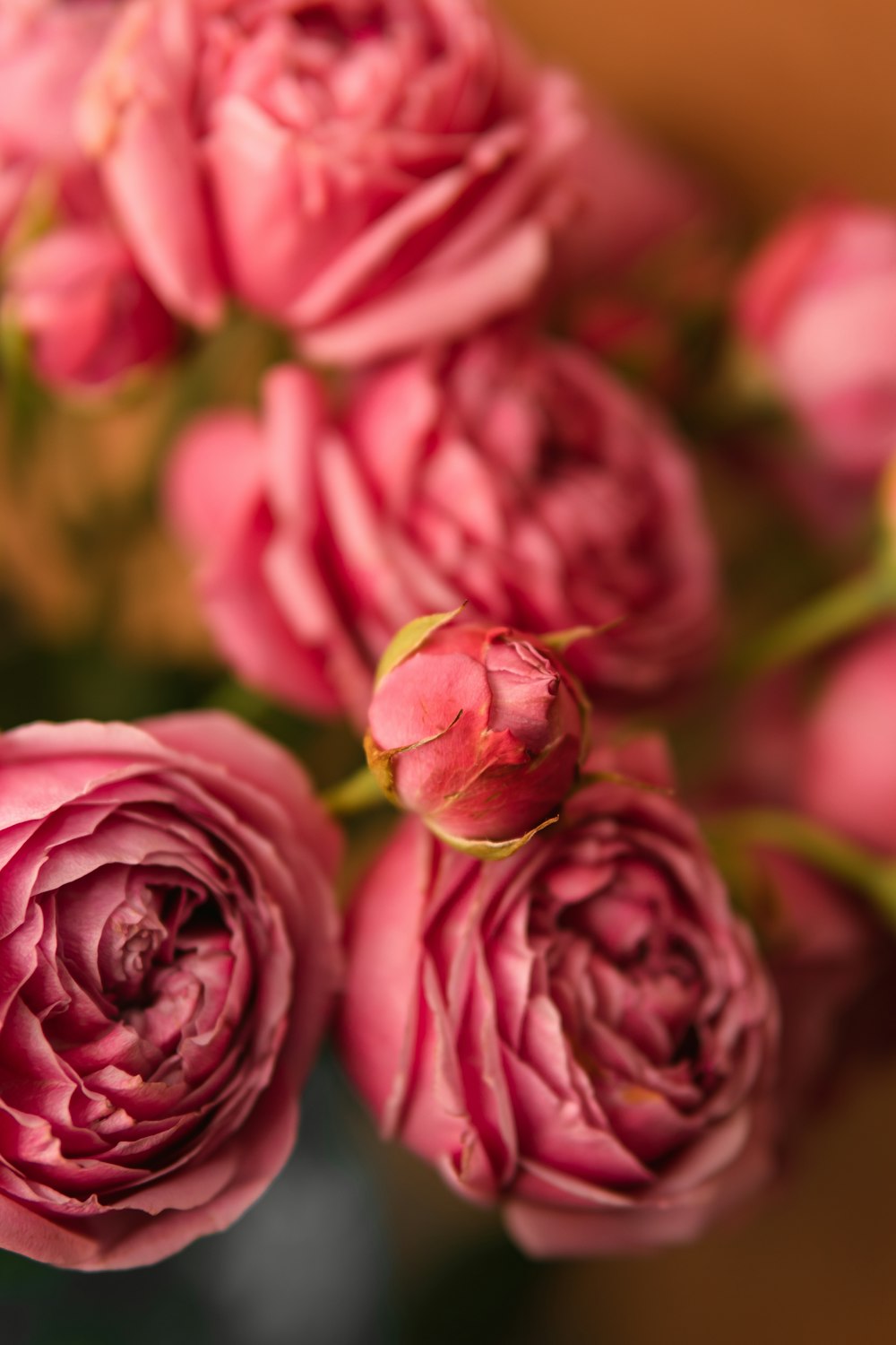 a bunch of pink roses in a vase