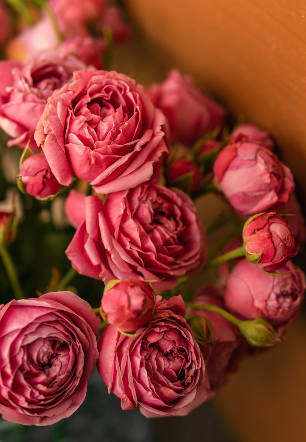 a bunch of pink flowers in a vase