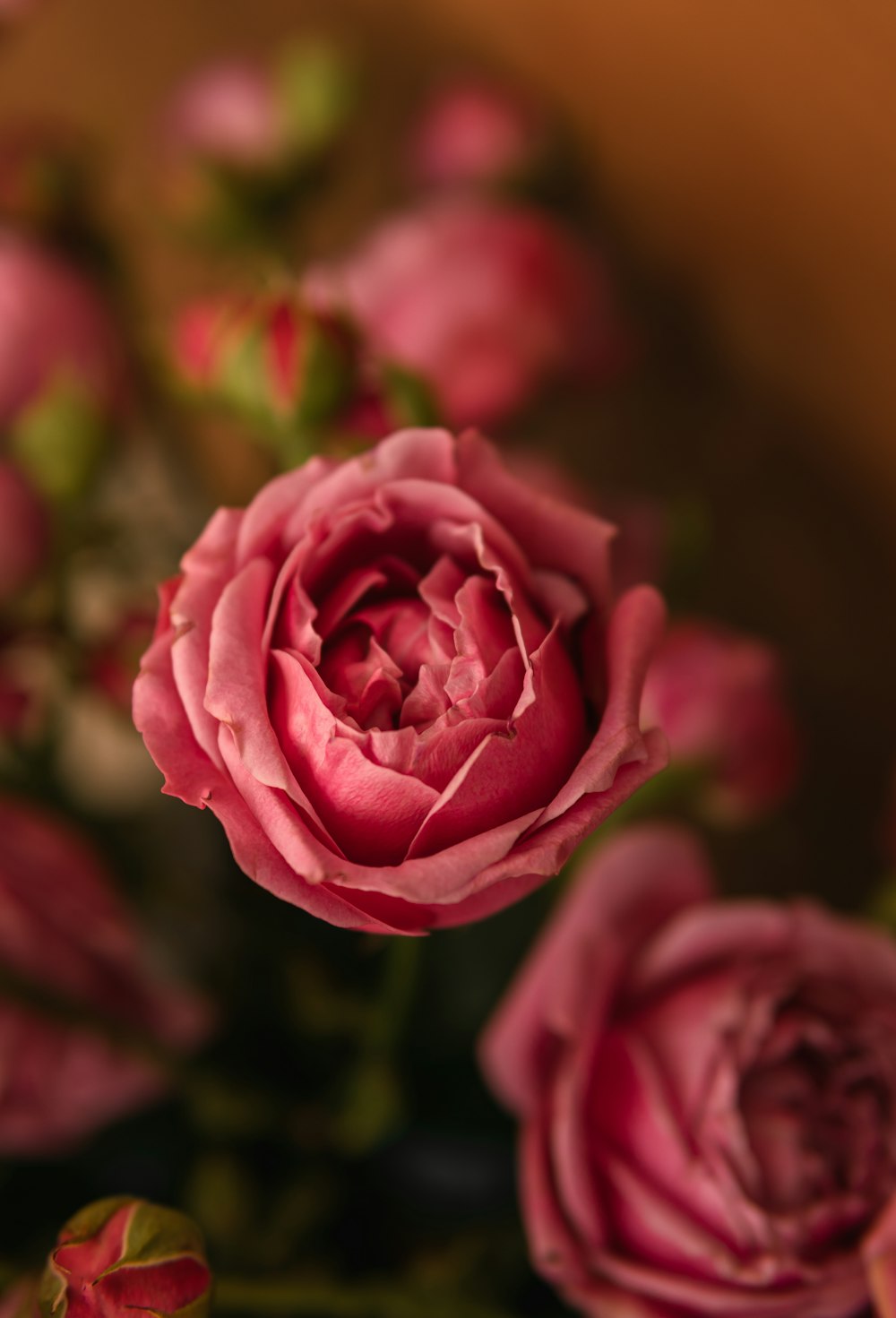 a bunch of pink flowers in a vase