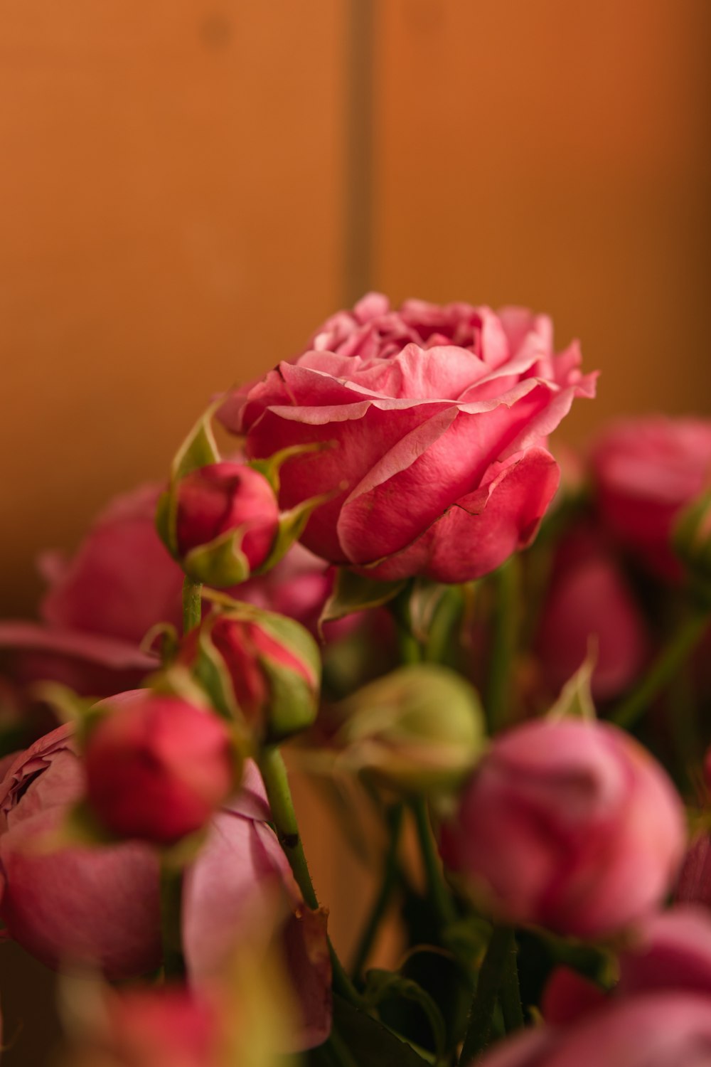 a bunch of pink flowers in a vase