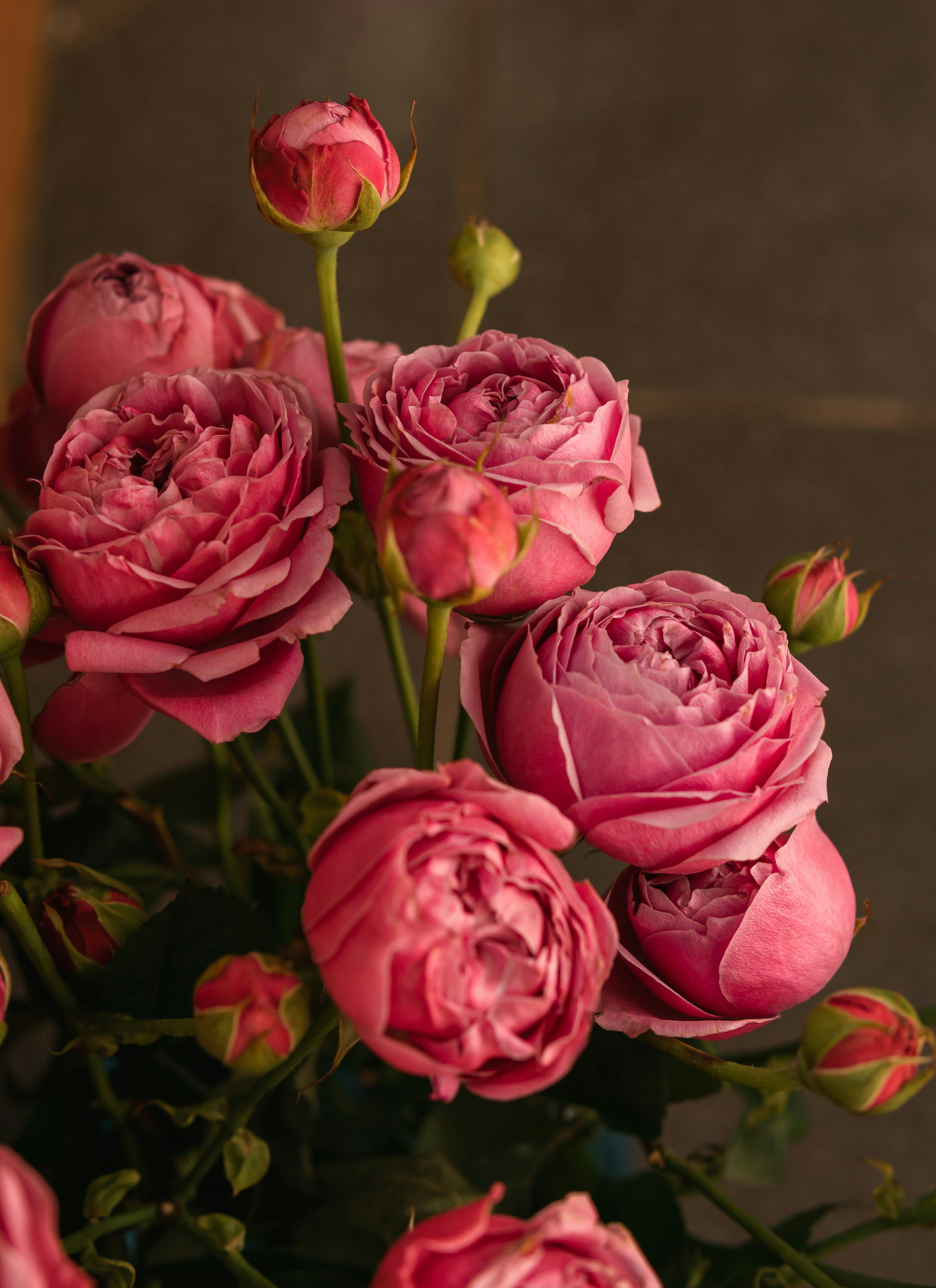 a bunch of pink flowers in a vase