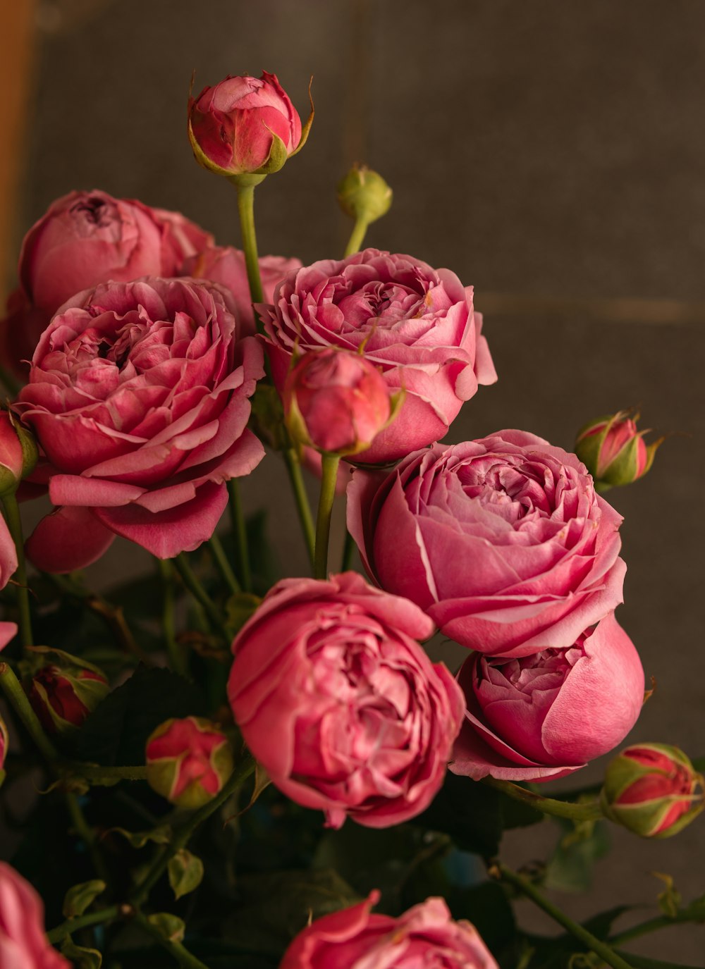 a bunch of pink flowers in a vase