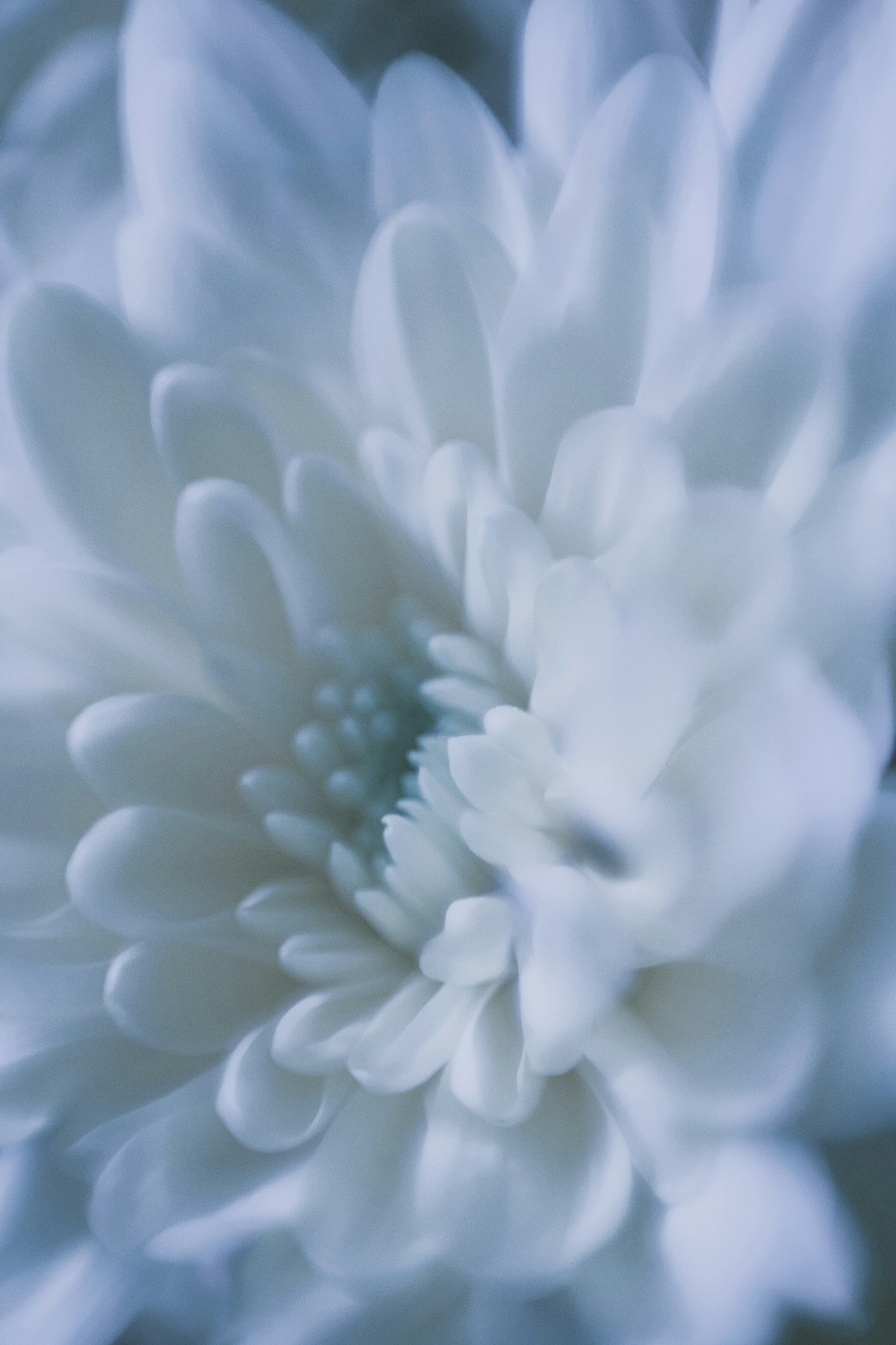 Photo by zero_esthetic