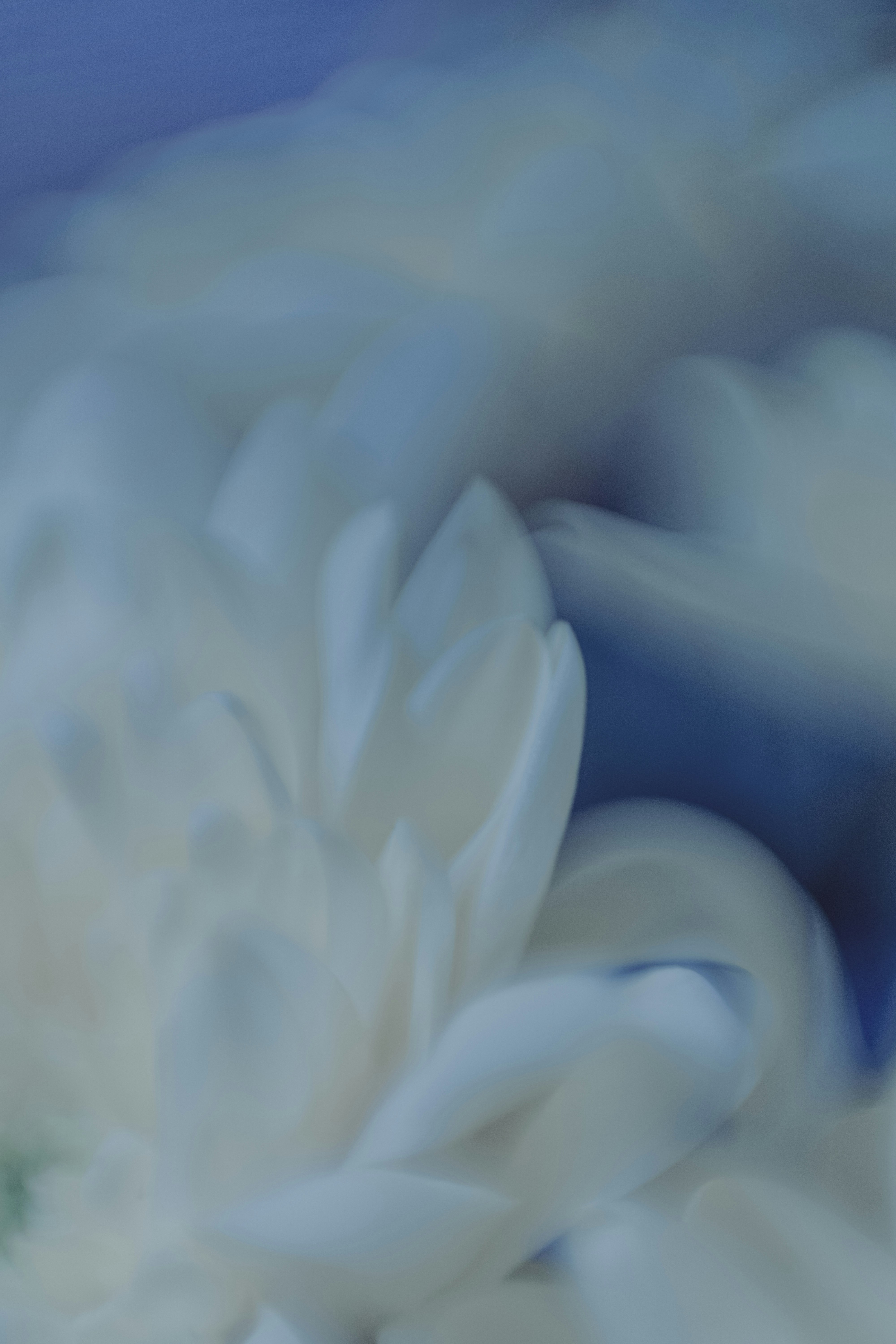 Photo by zero_esthetic