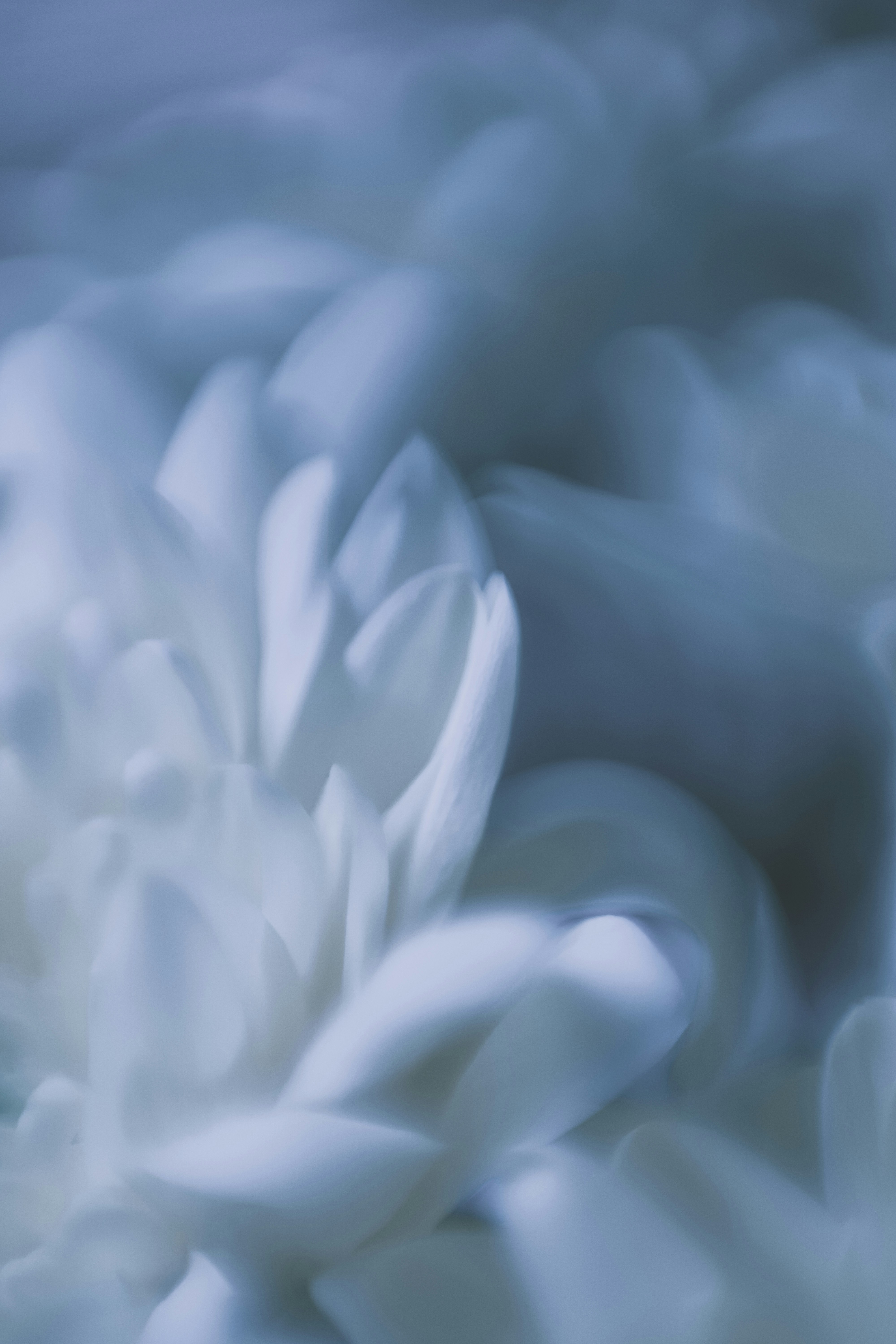 Photo by zero_esthetic