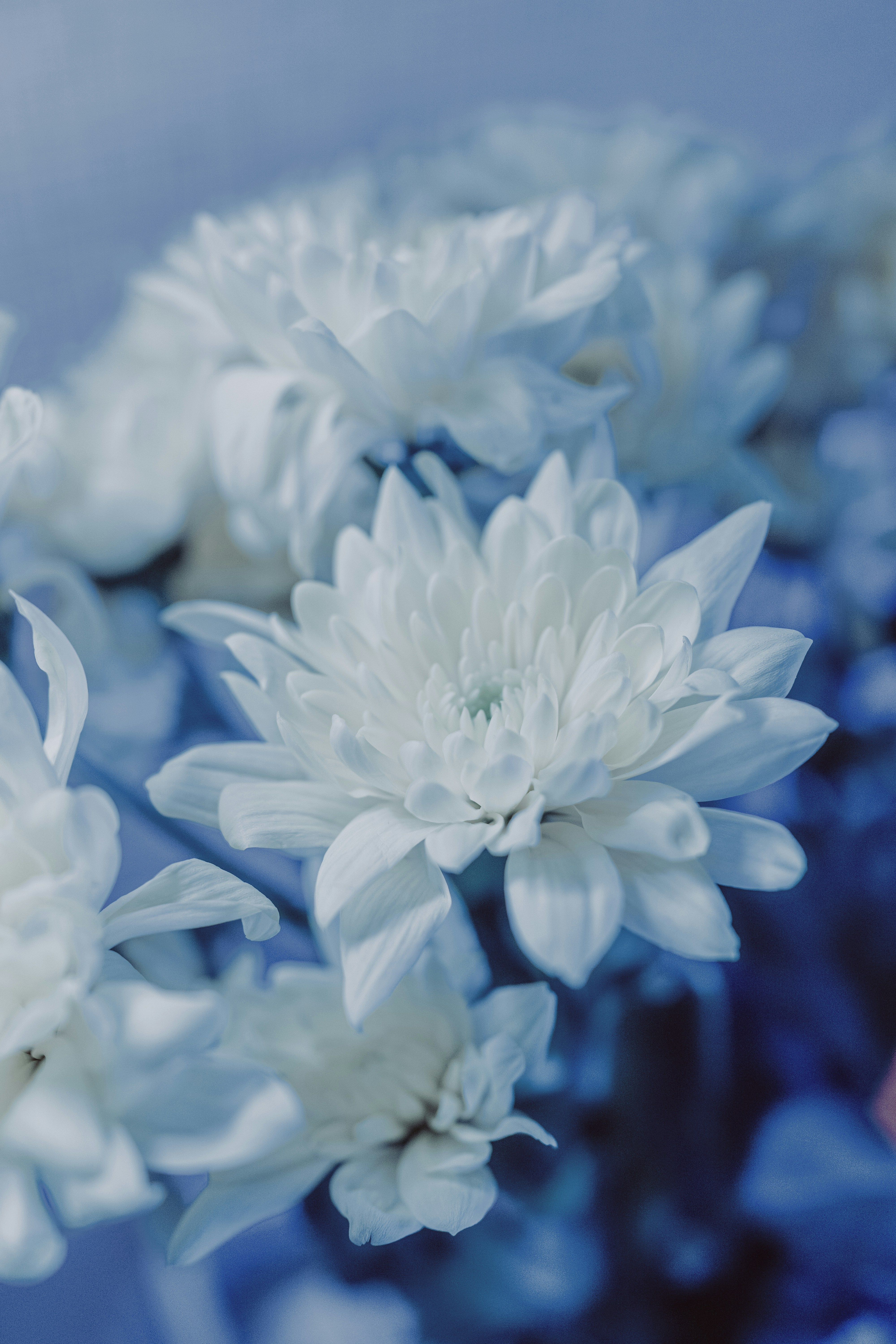 Photo by zero_esthetic