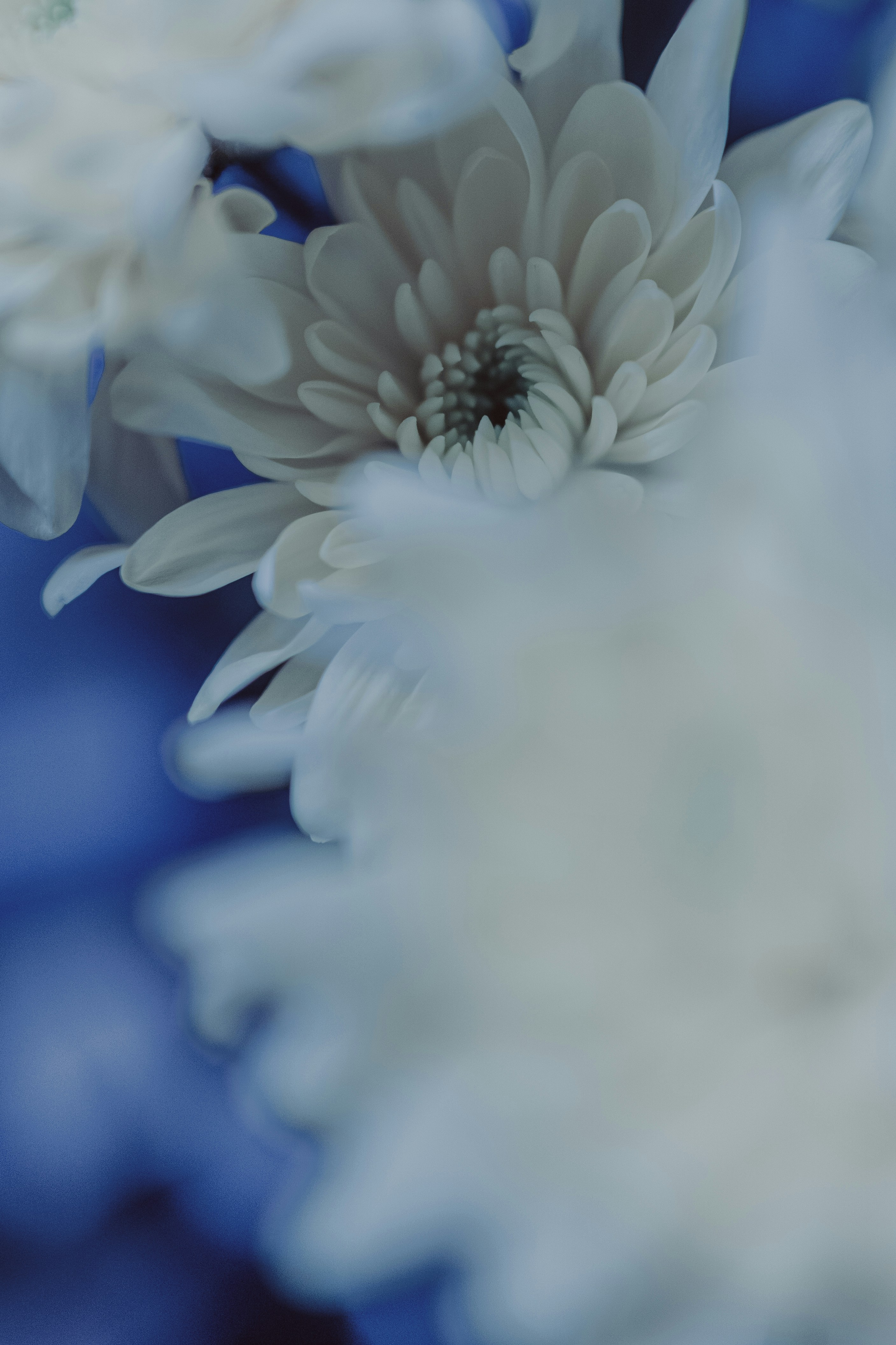 Photo by zero_esthetic