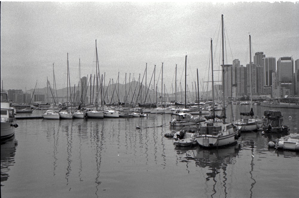 uma foto em preto e branco de um porto cheio de barcos