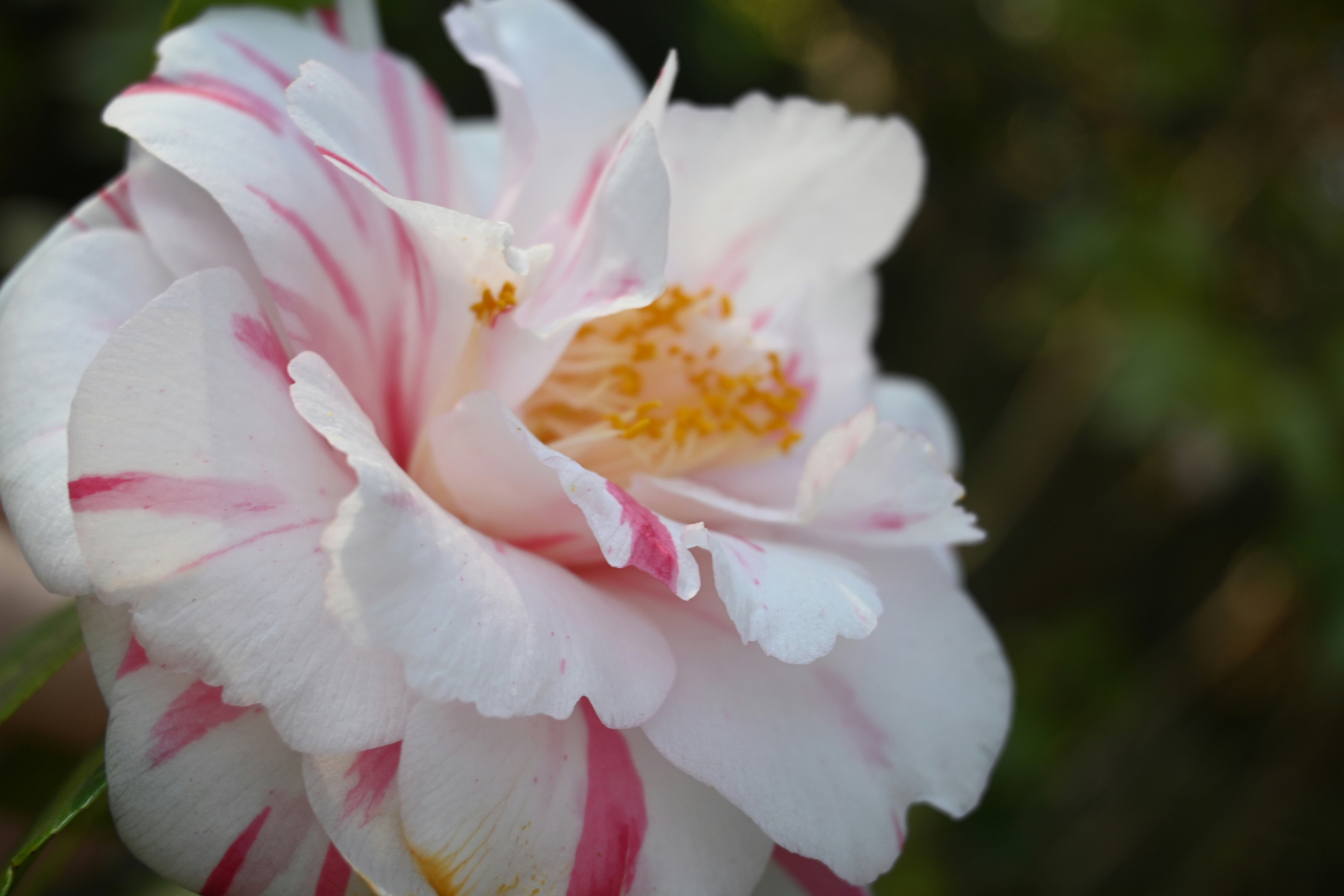 Photo by karolinabobek